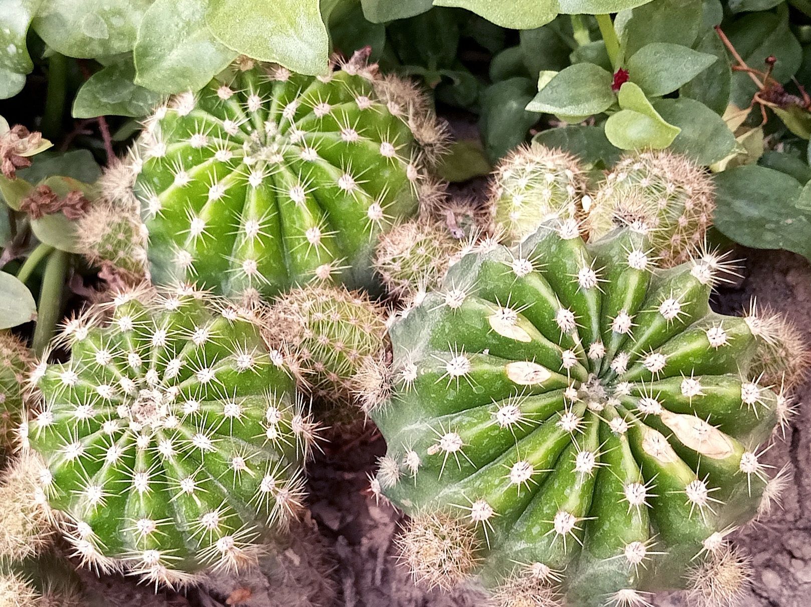 Community photo by Hassan