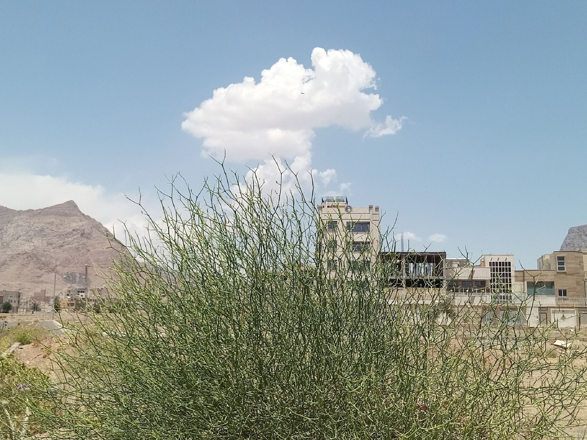 Community photo by Hassan