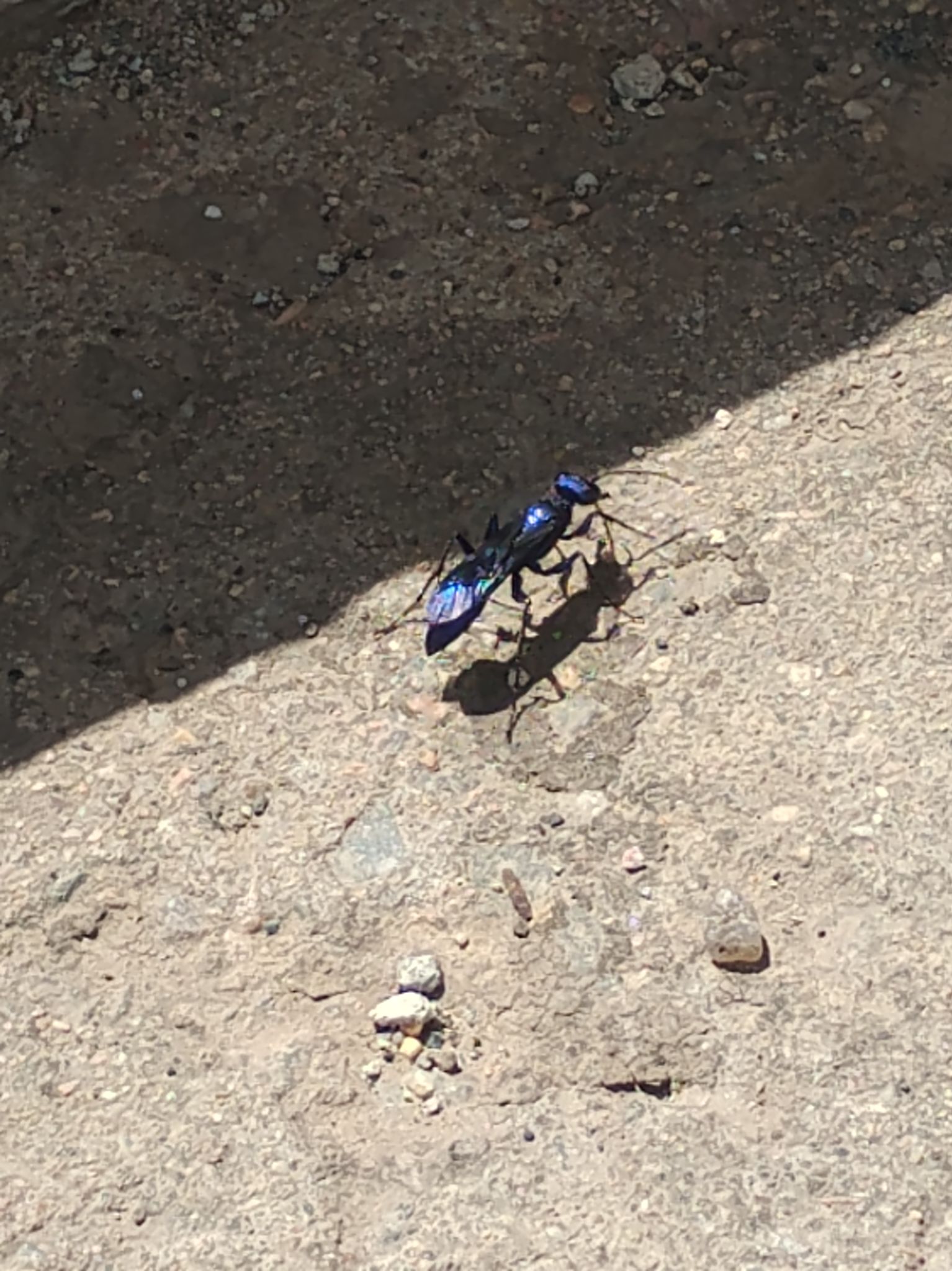 Community photo by Jawknee Paul-Rawkin