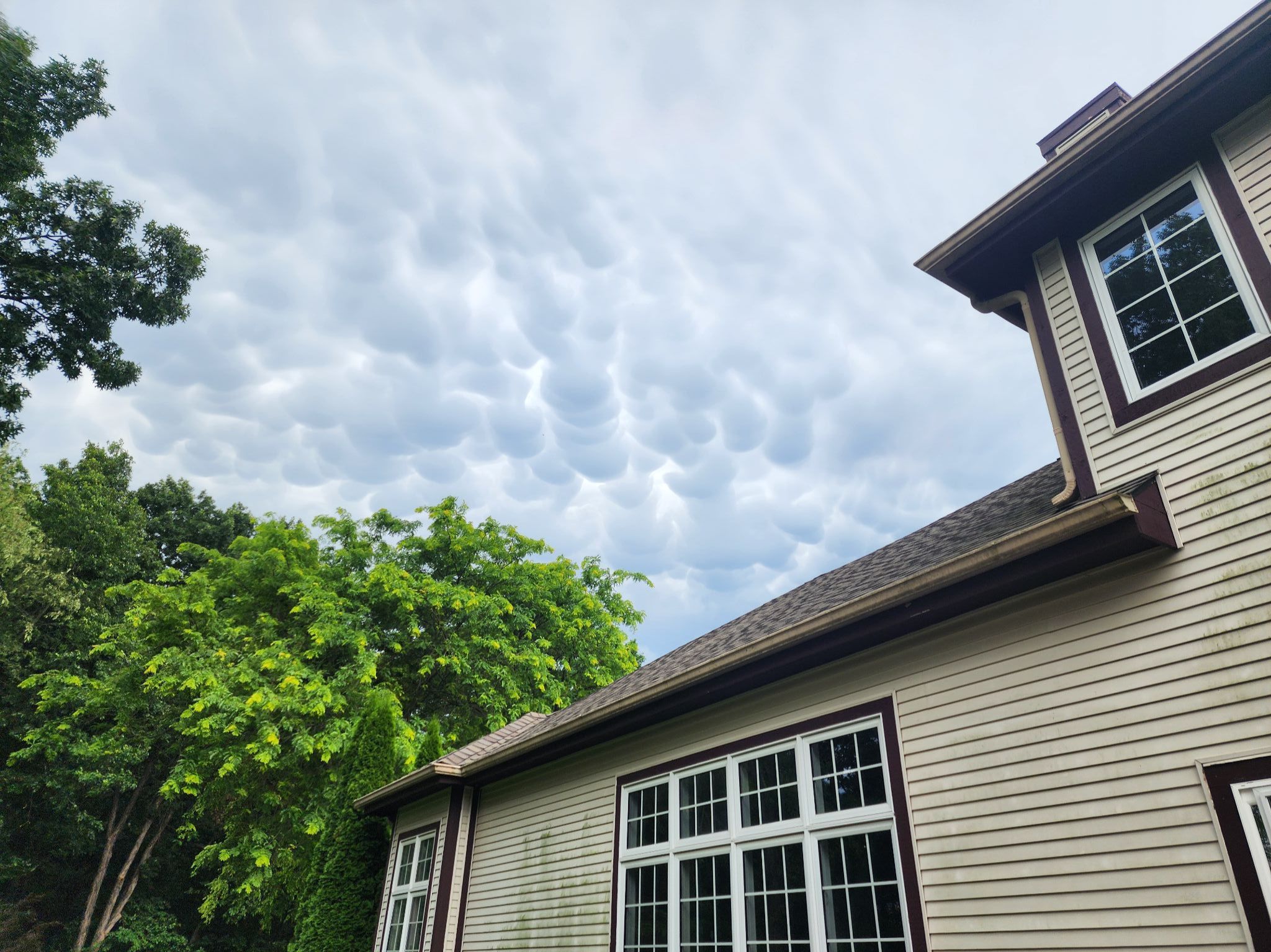 Community photo by Michael O'Connor | Fenton, Michigan