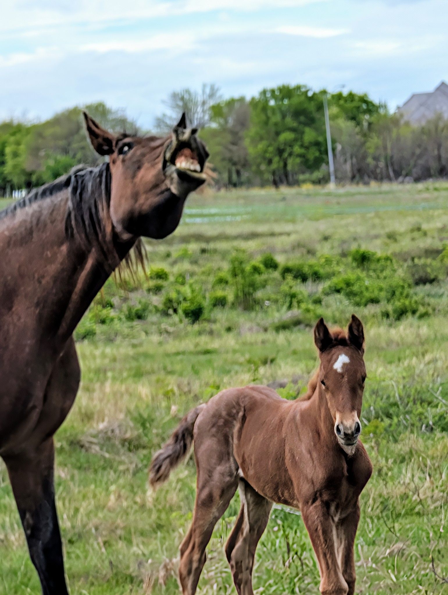 Community photo by donna kelly | ft worth,texas usa