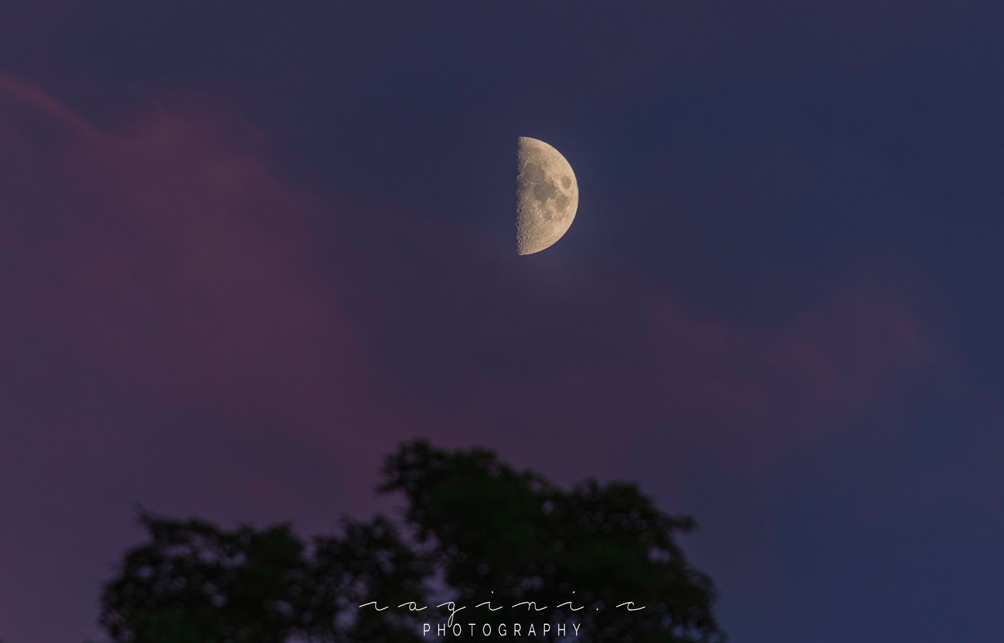 Community photo by Ragini Chaturvedi | NJ, USA