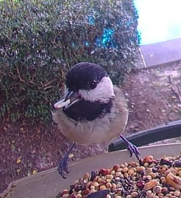 Community photo by Mark