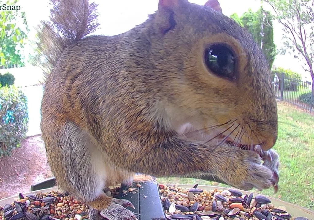 Community photo by Mark