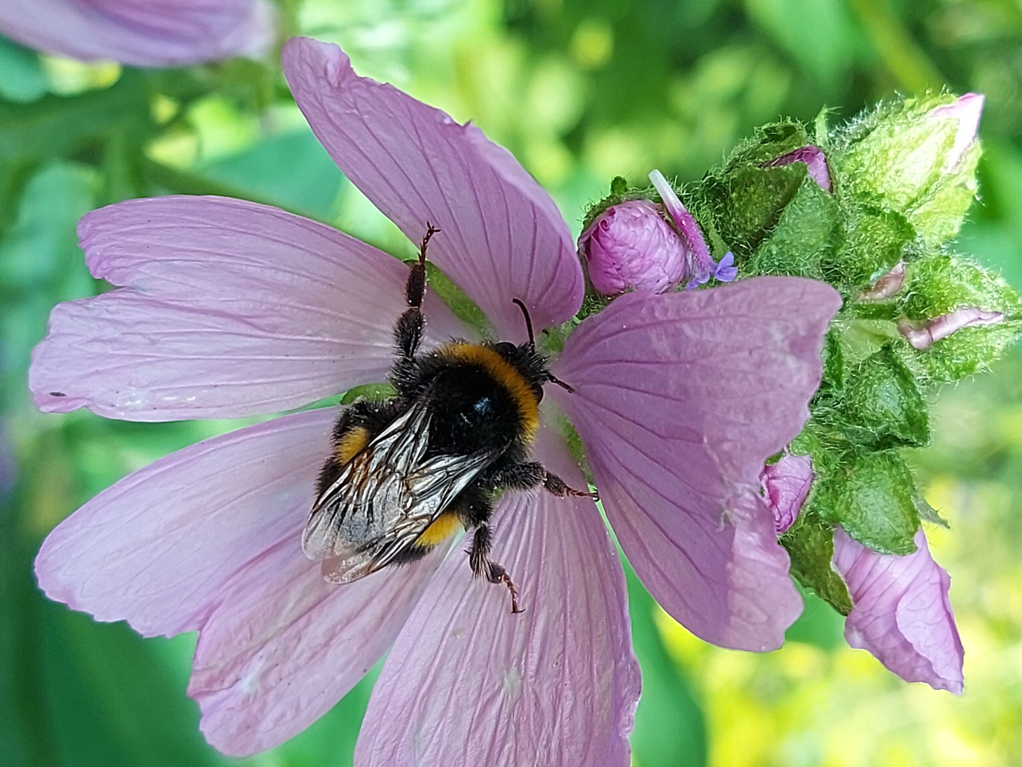 Community photo by Anne Read | Lancashire  England