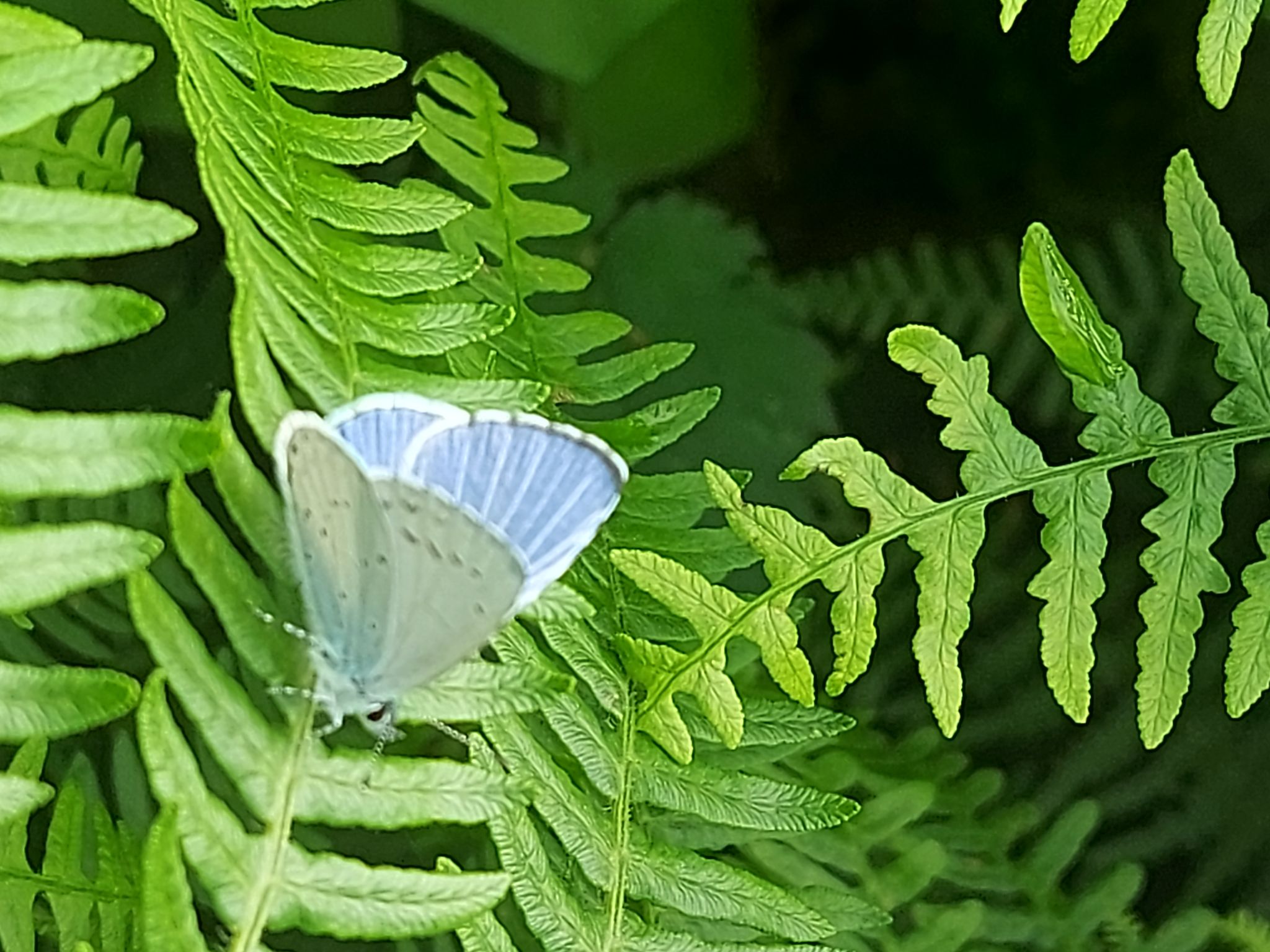 Community photo by Anne Read | Leeds Liverpool Canal England