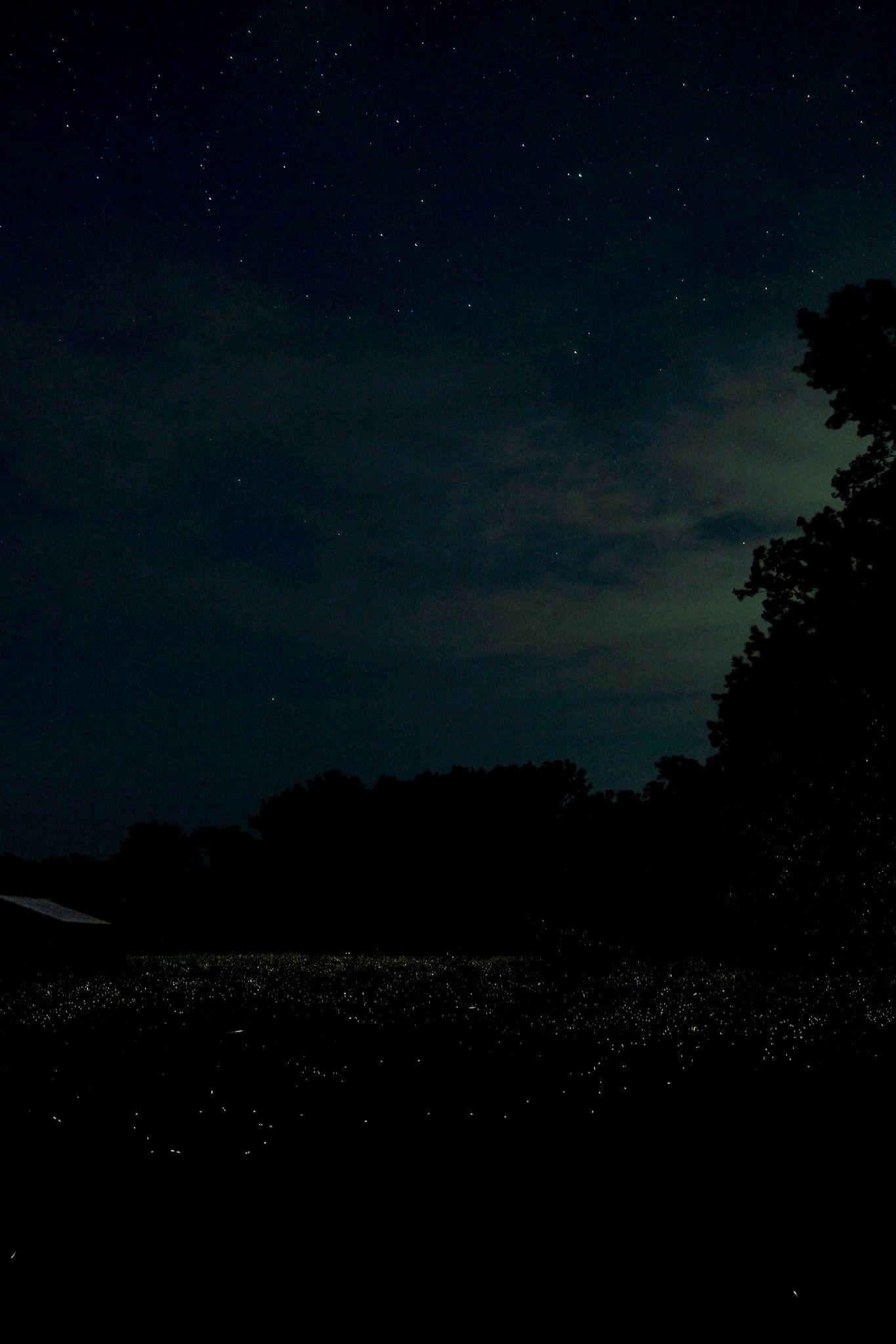 Community photo by Sarah Tynan | Western N.Y.