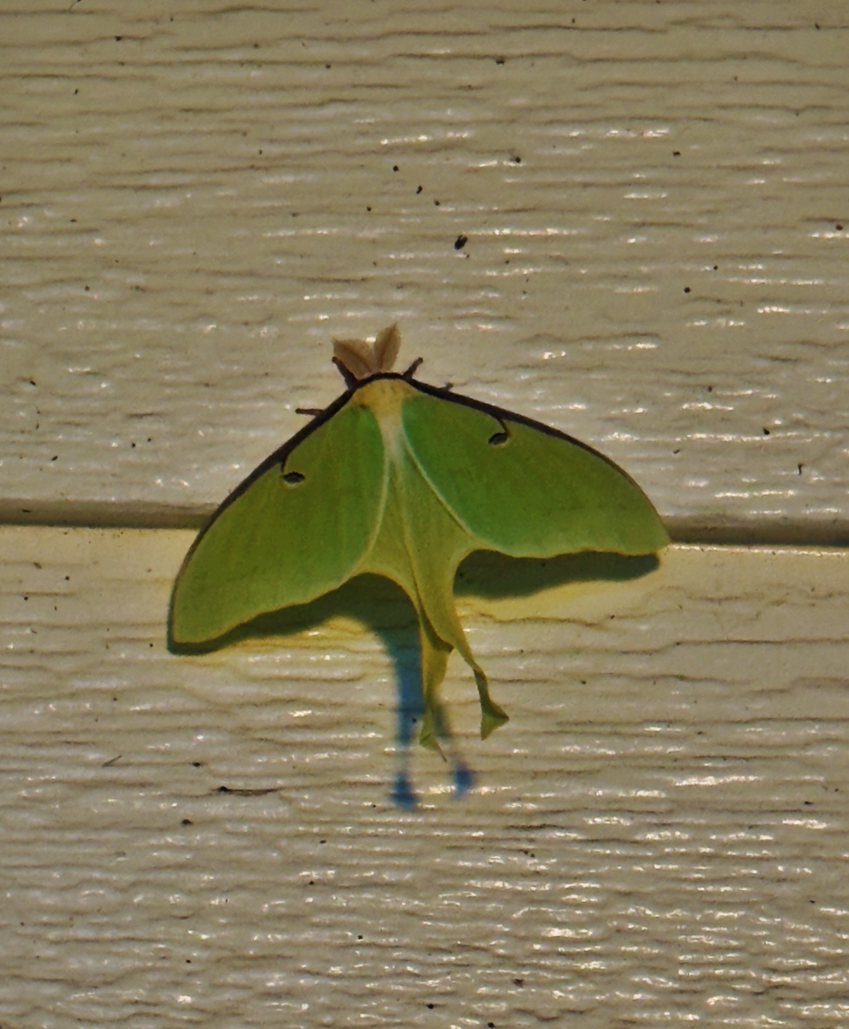 Community photo by Don