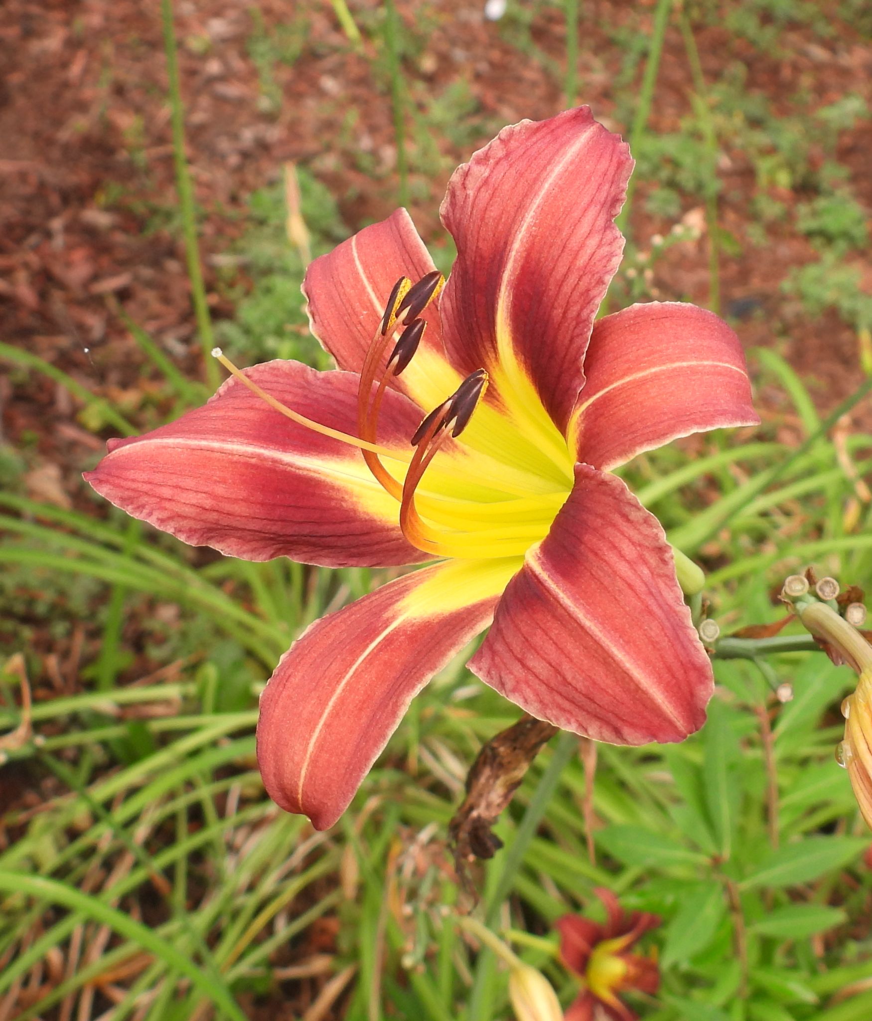 Community photo by Nina