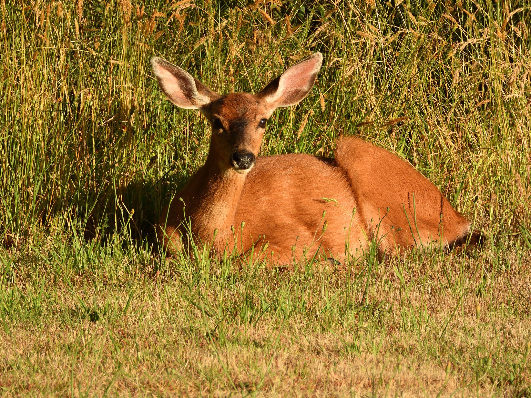 Community photo by Cecille