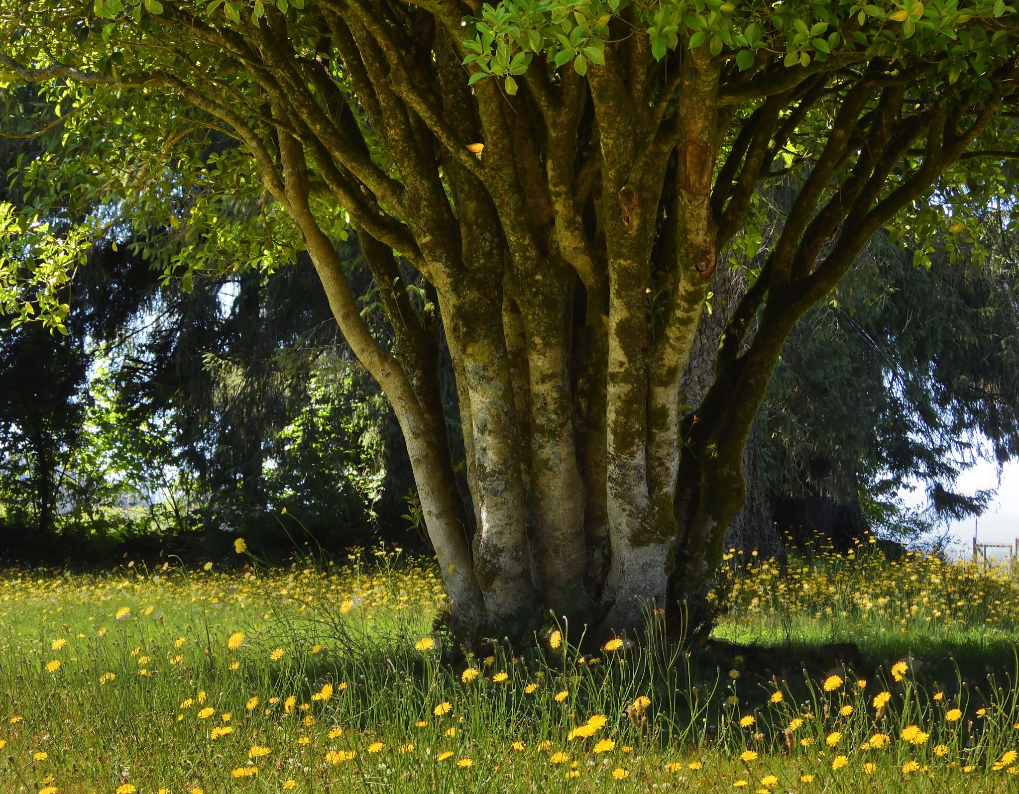 Community photo by Cecille