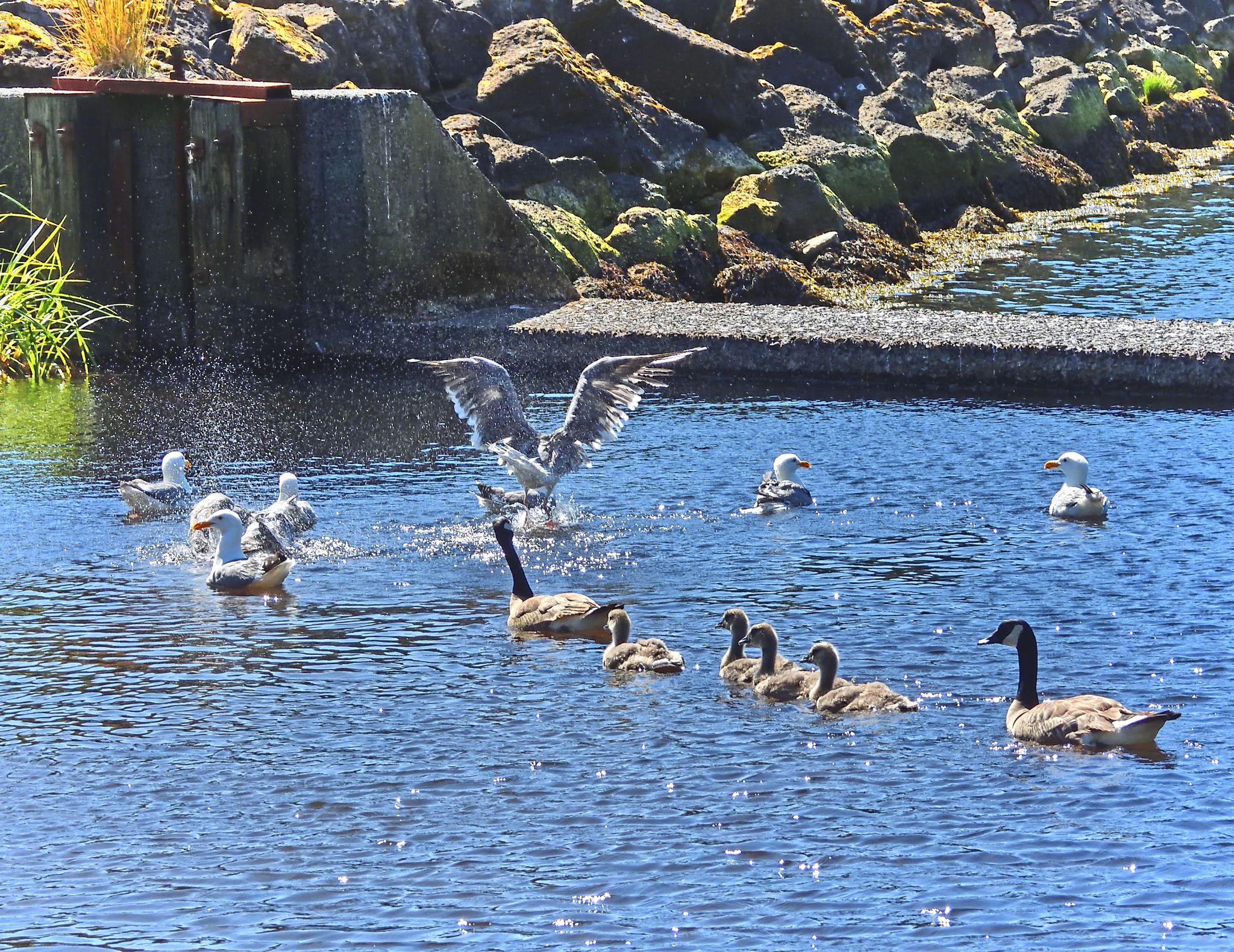 Community photo by Cecille