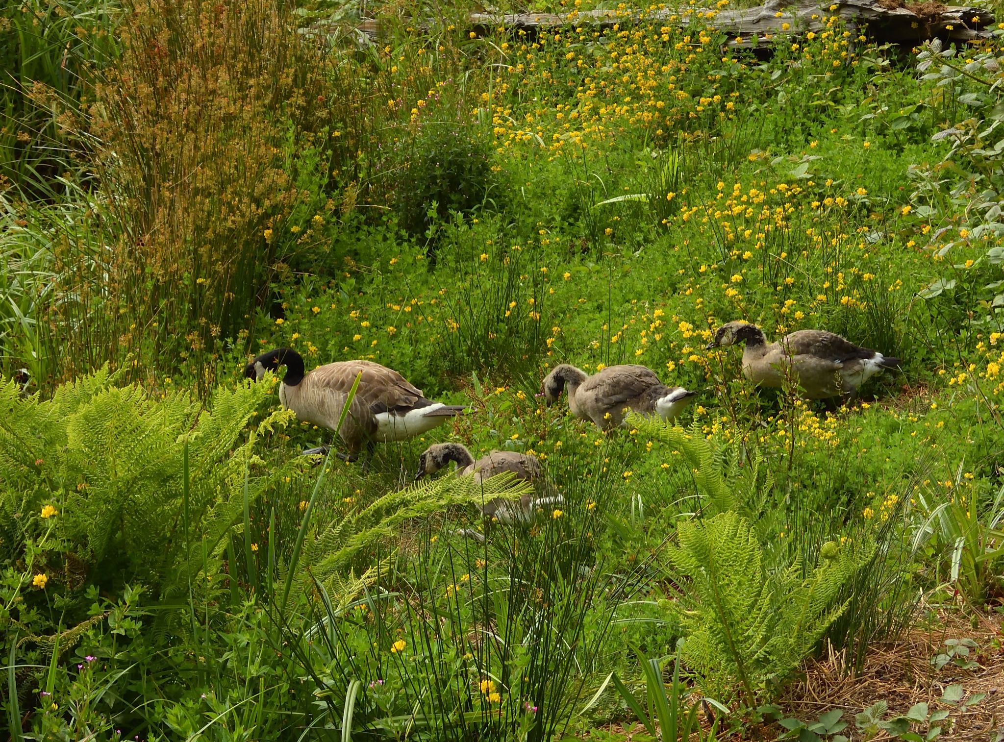 Community photo by Cecille Kennedy | South Depoe Creek, Oregon
