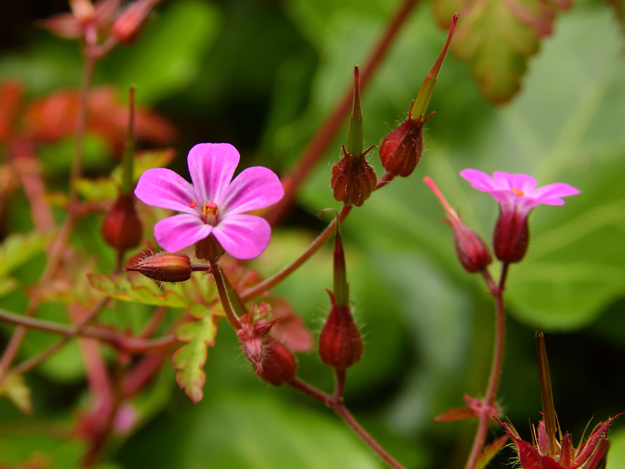 Community photo by Cecille Kennedy | Depoe Bay, Oregon
