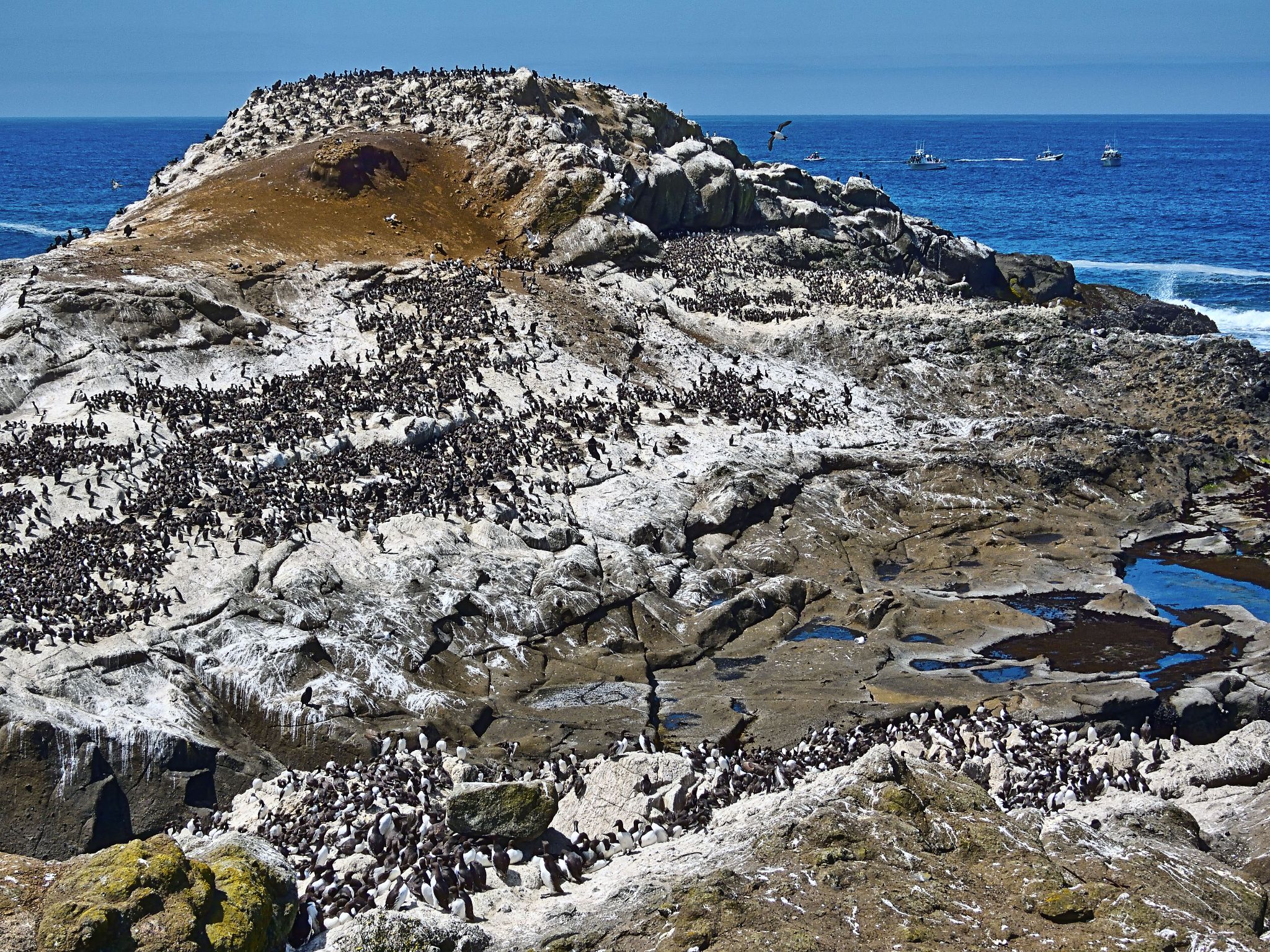 Community photo by Cecille Kennedy | Pirate Cove, Oregon
