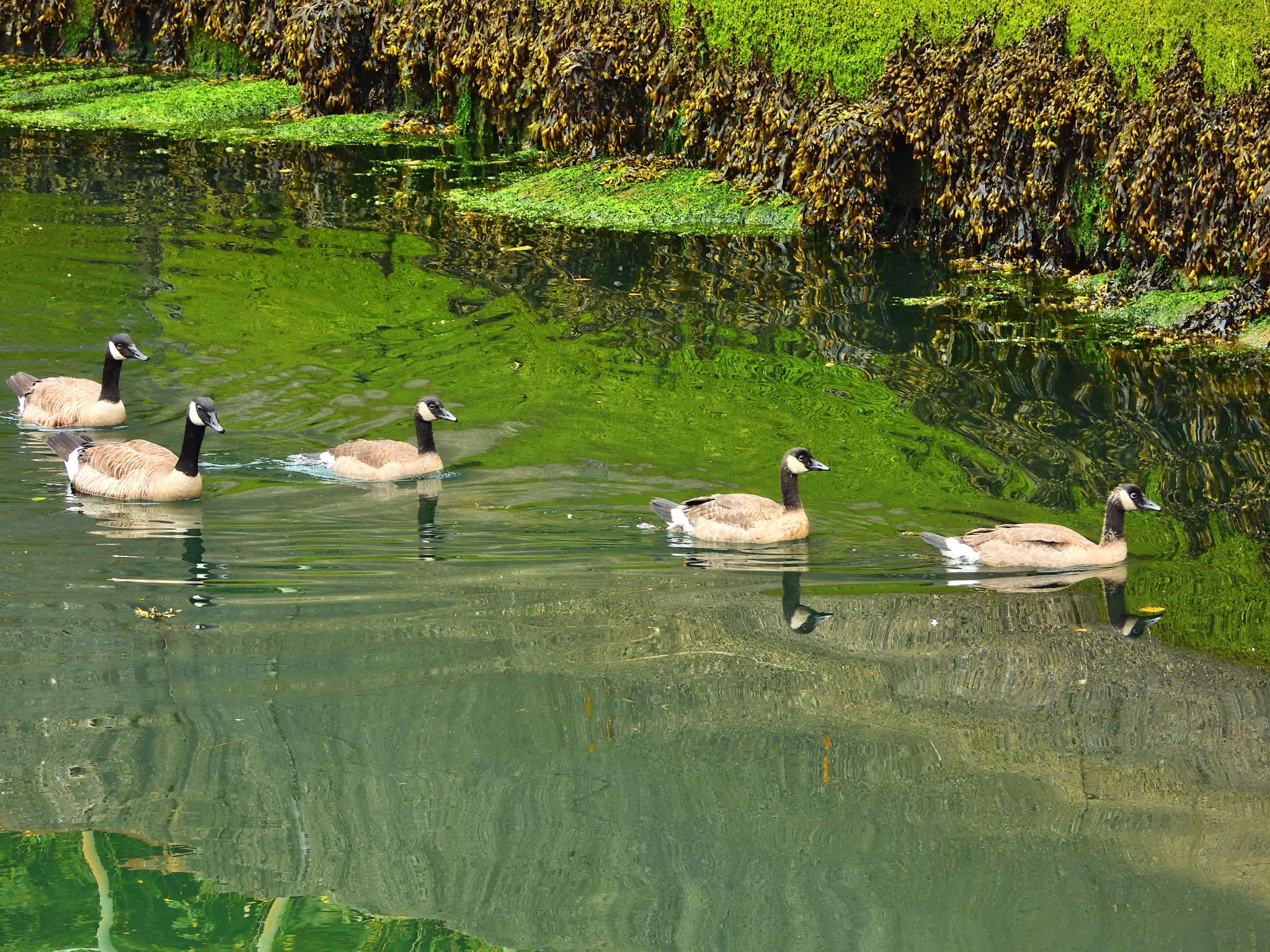 Community photo by Cecille Kennedy | Depoe Bay, Oregon
