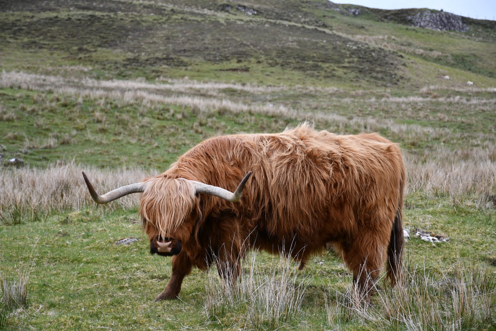 Community photo by Mia