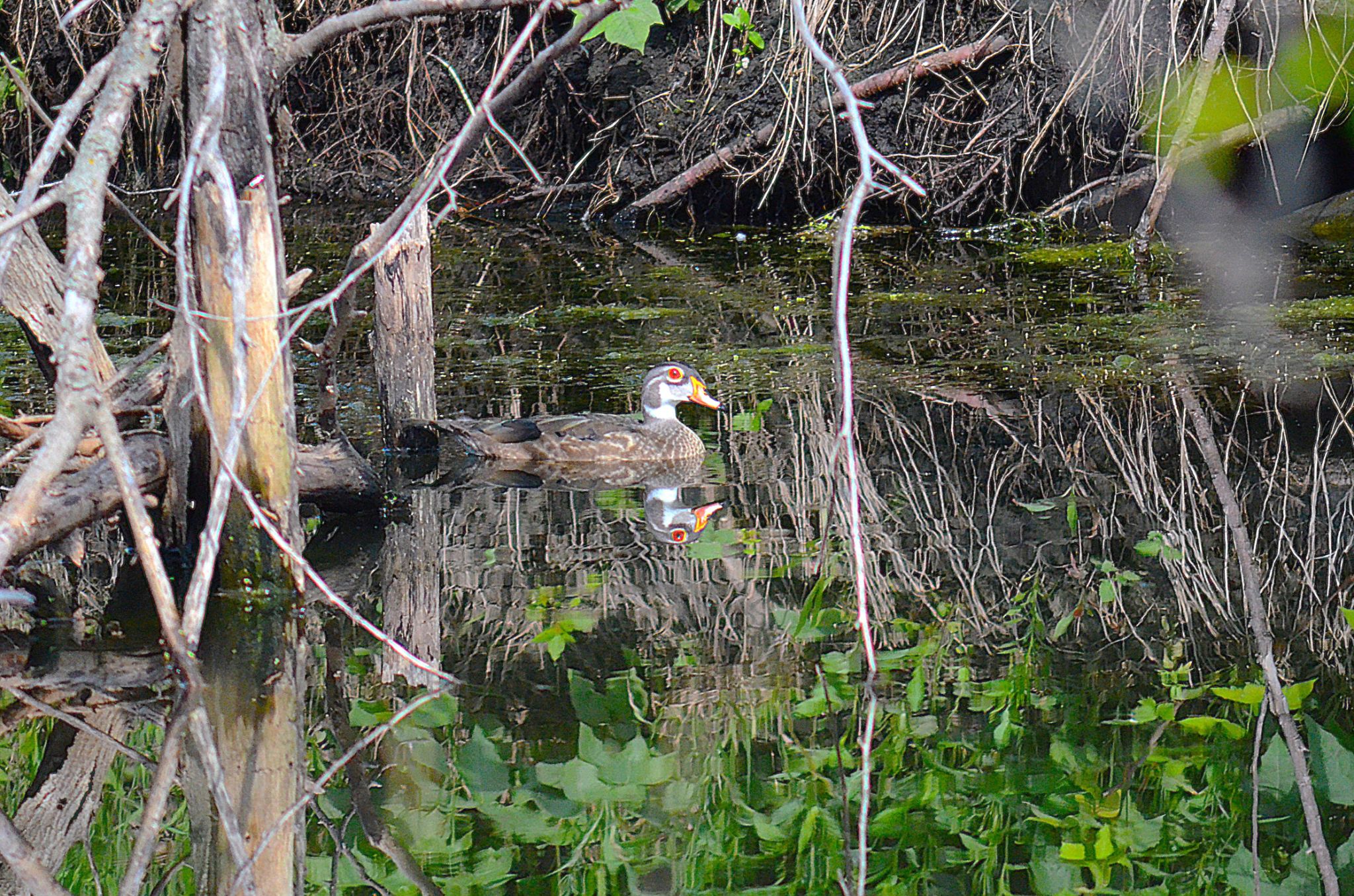 Community photo by Randy