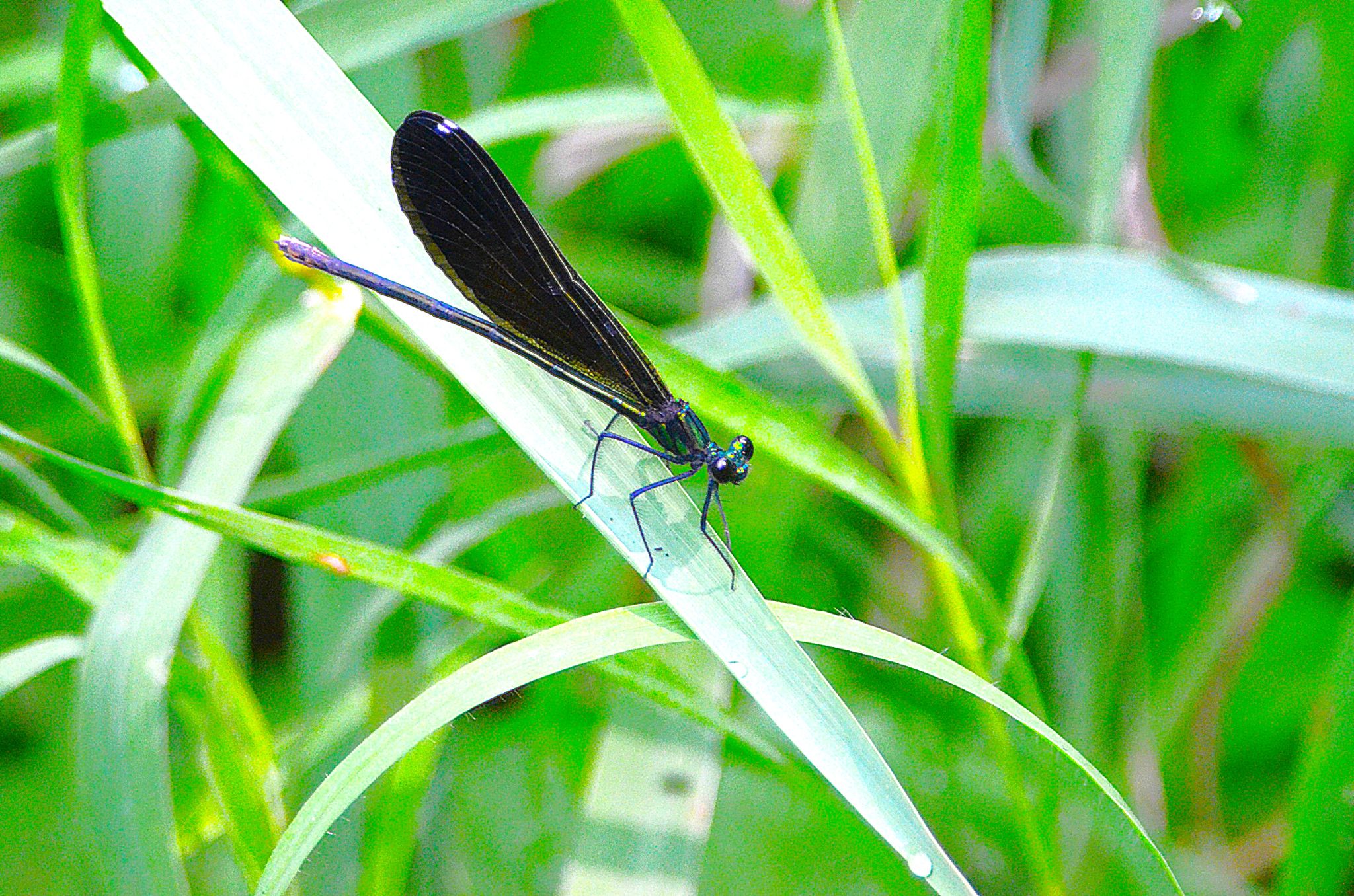 Community photo by Randy