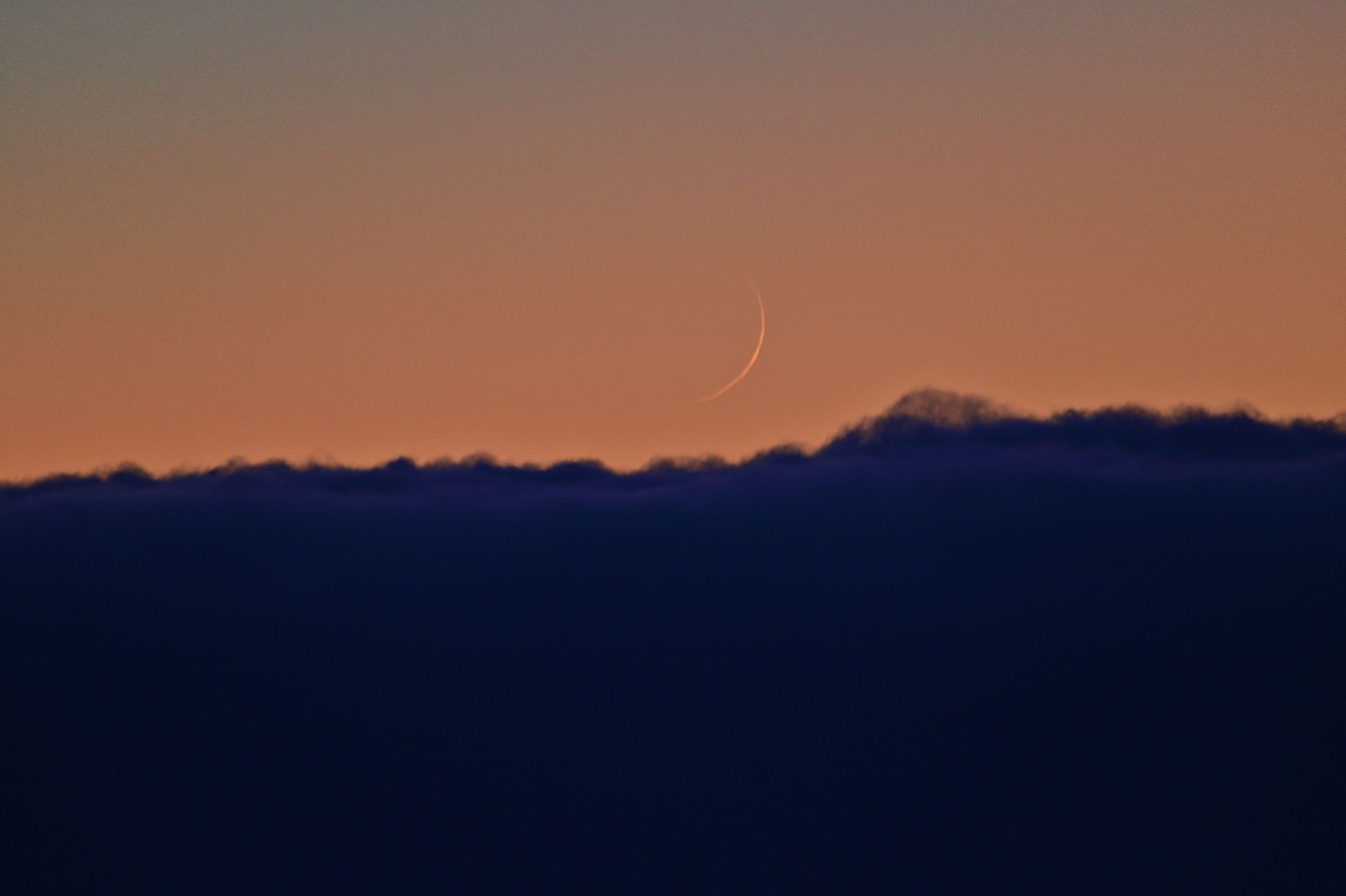 Community photo by Cecille Kennedy | Oregon Coast, Oregon