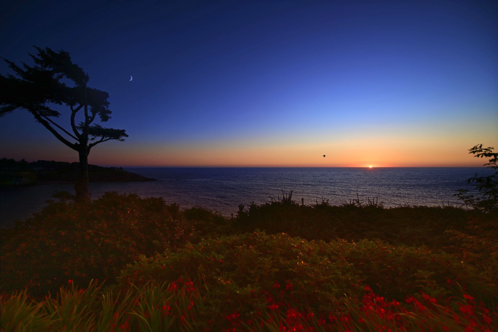 Community photo entitled Distant Moon Distant Sun by Cecille Kennedy on 07/29/2025 at Depoe Bay, Oregon