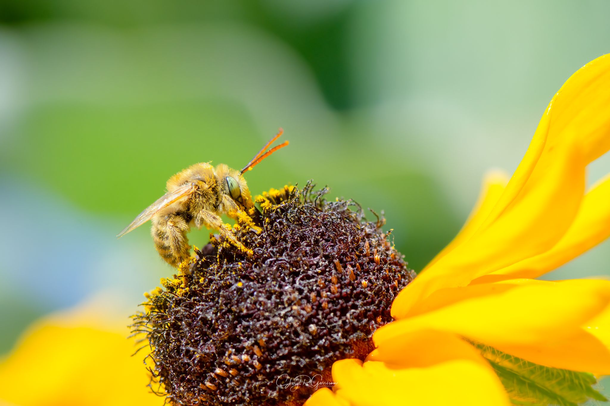 Community photo by Sheryl R