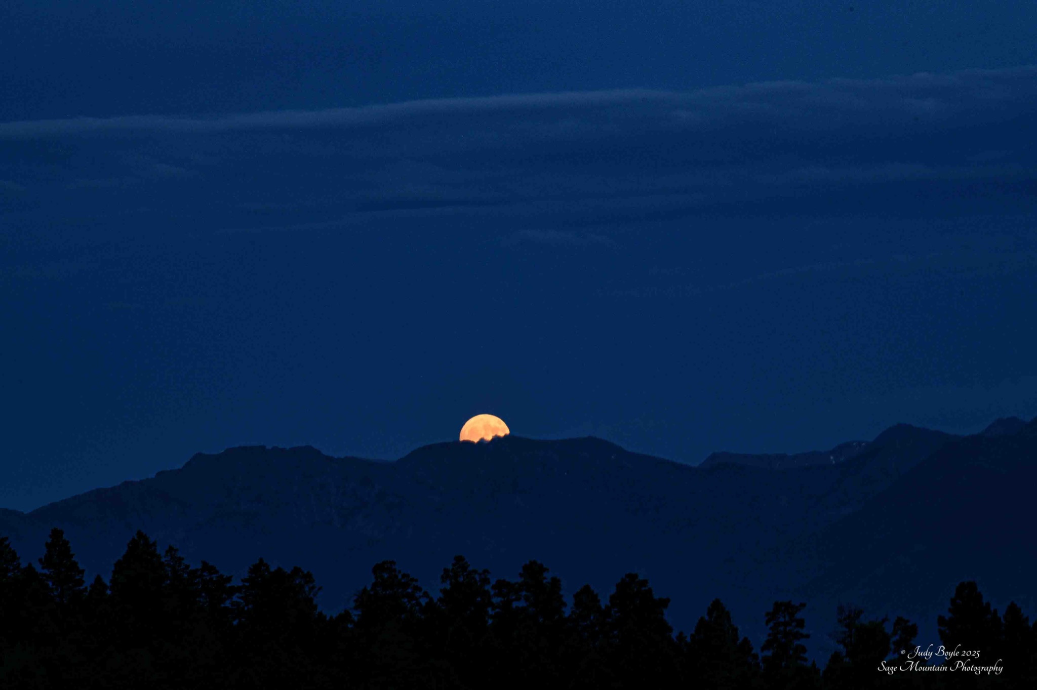 Community photo by Judy