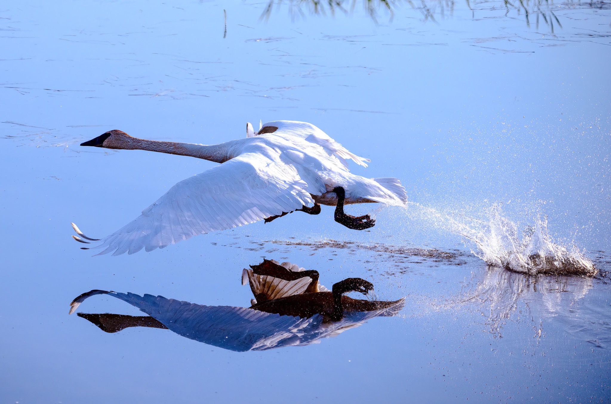 Community photo by Eliot Herman | Anchorage Alaska