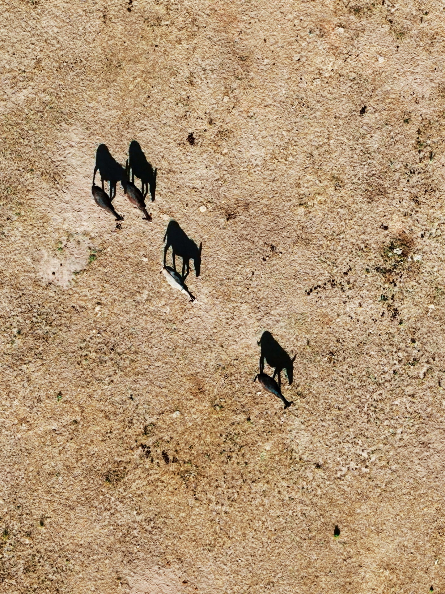 Community photo by Christoph Stopka | Wet Mountain Valley, Colorado. USA