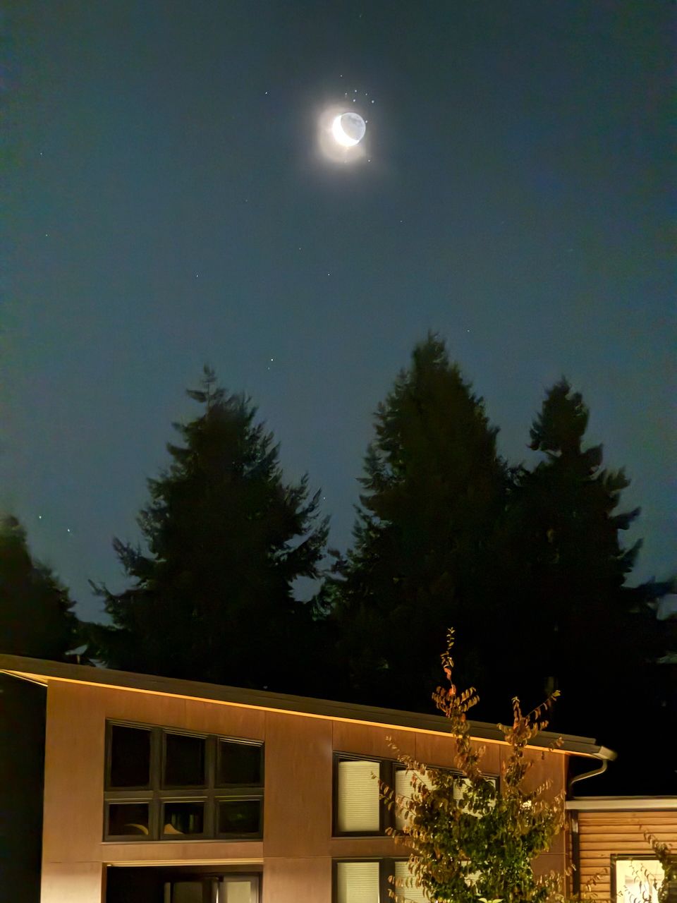 Community photo by Michael Wilson | Lacey, Washington, USA