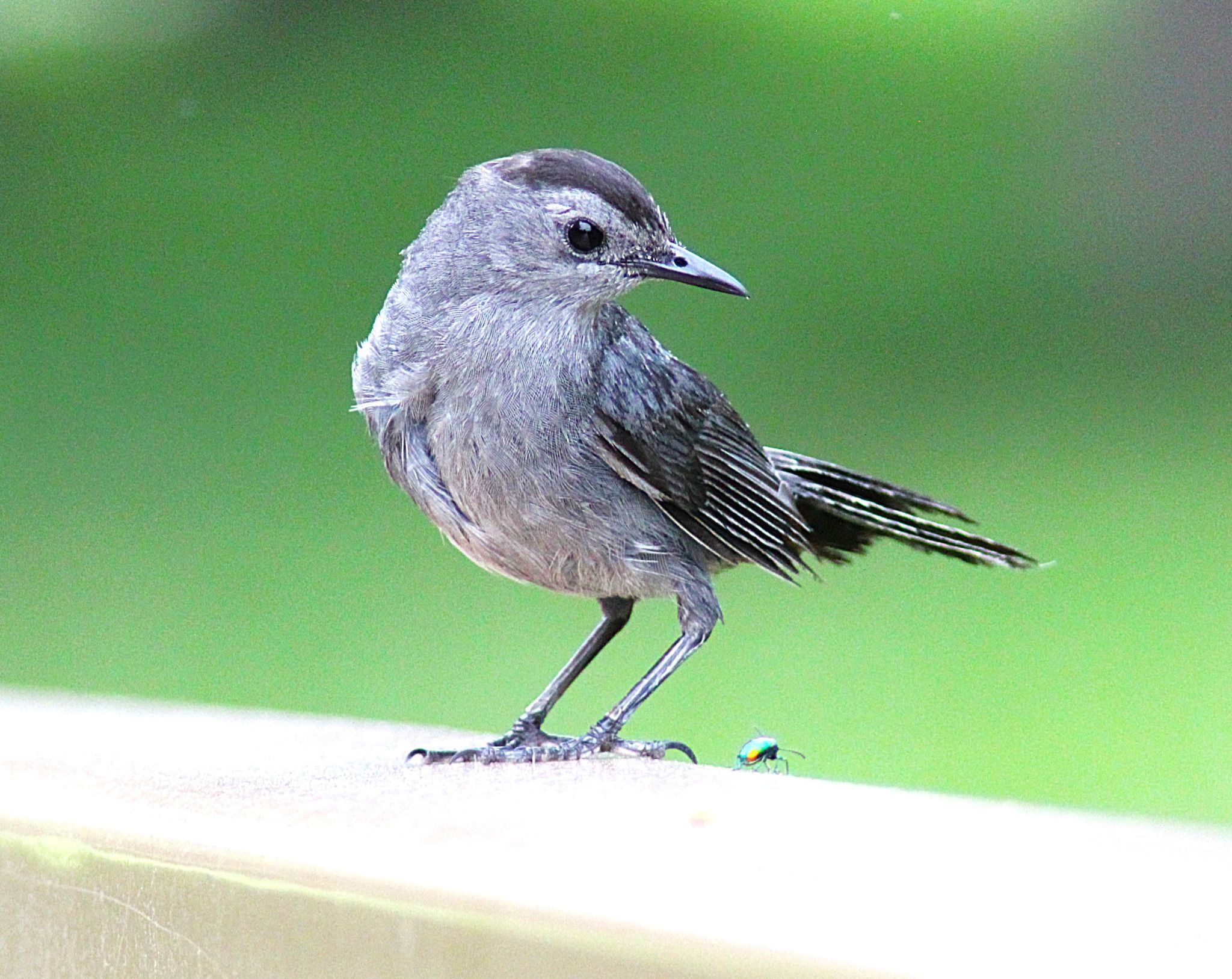 Community photo by Randy