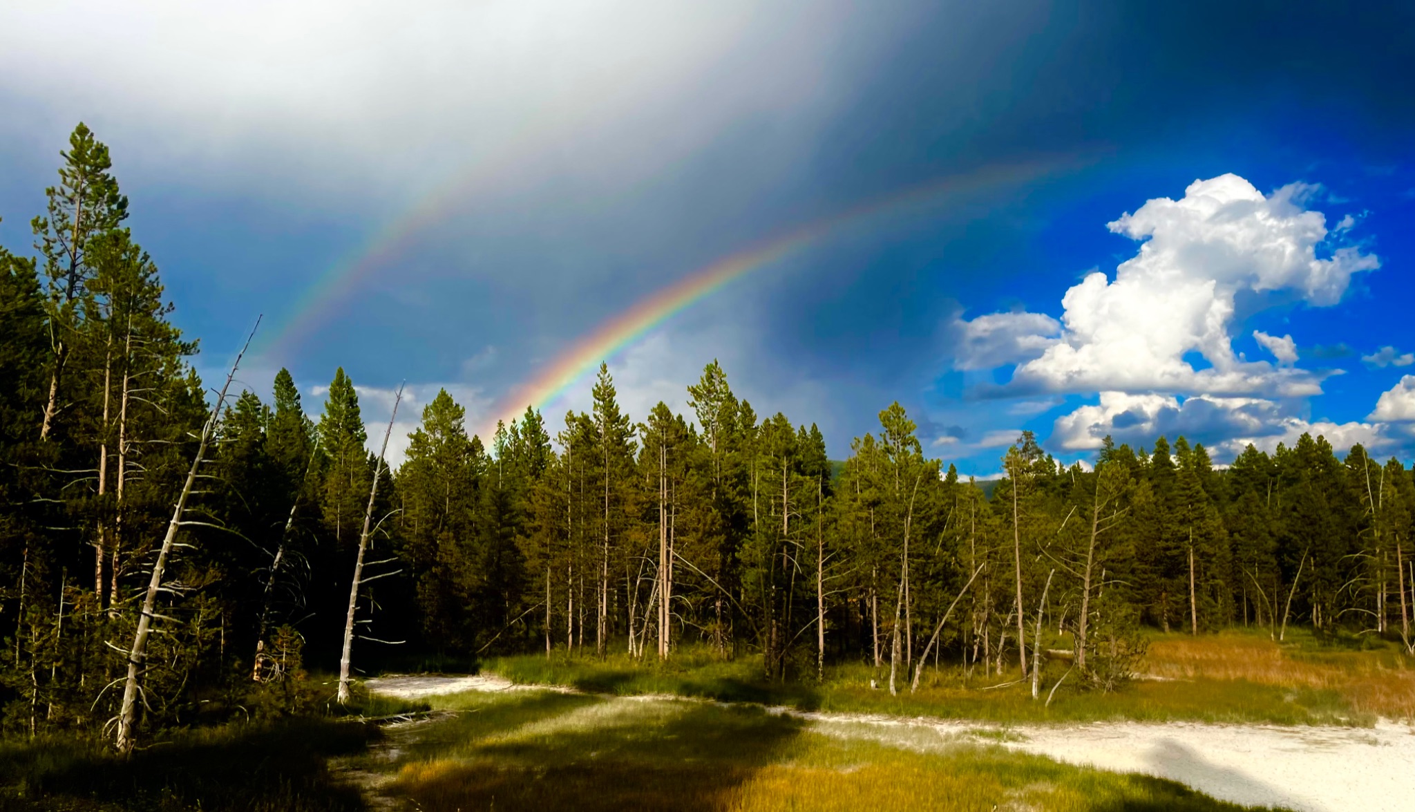 Community photo by Virginia Daley | Yellowstone National Park
