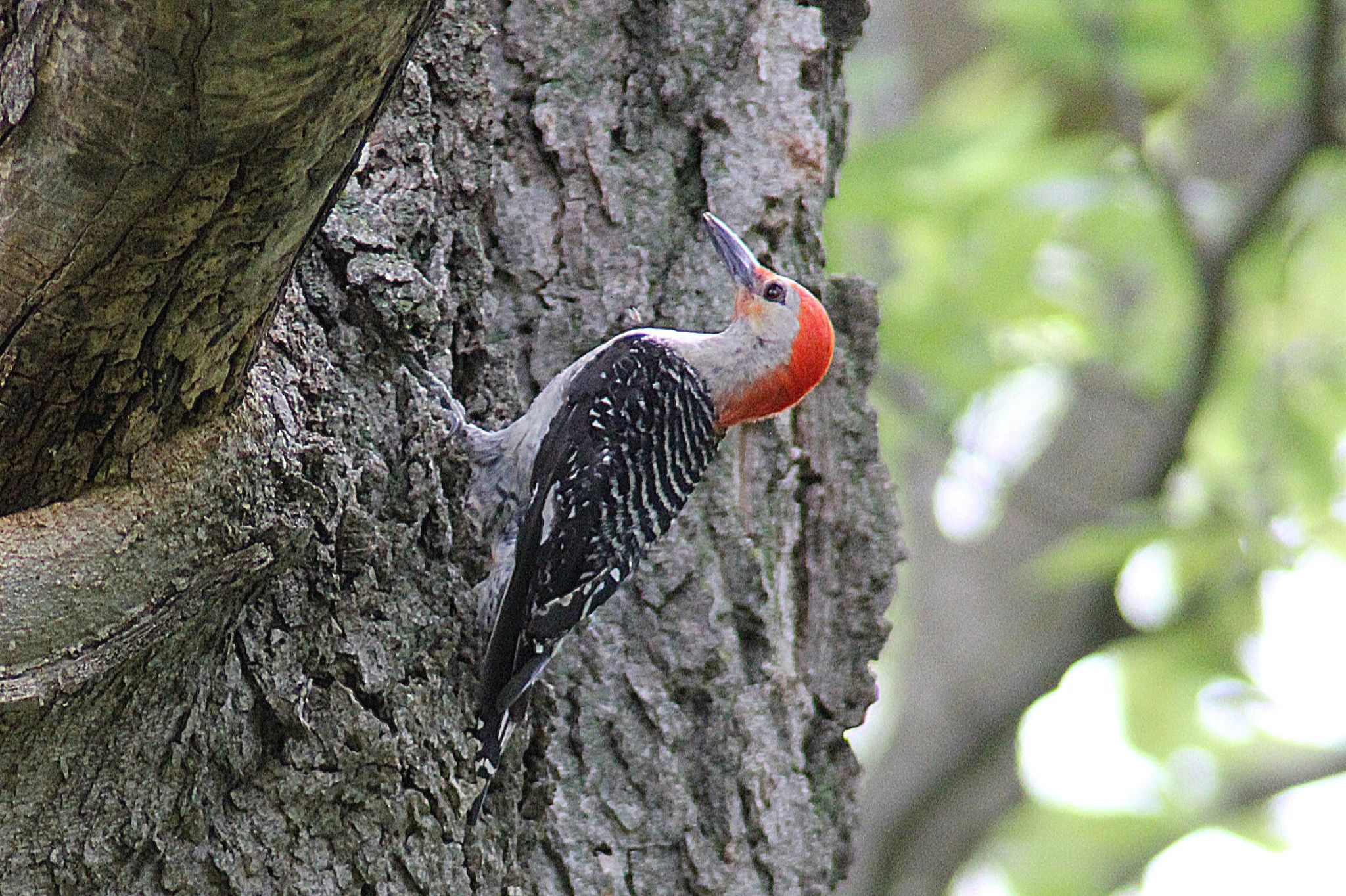 Community photo by Randy