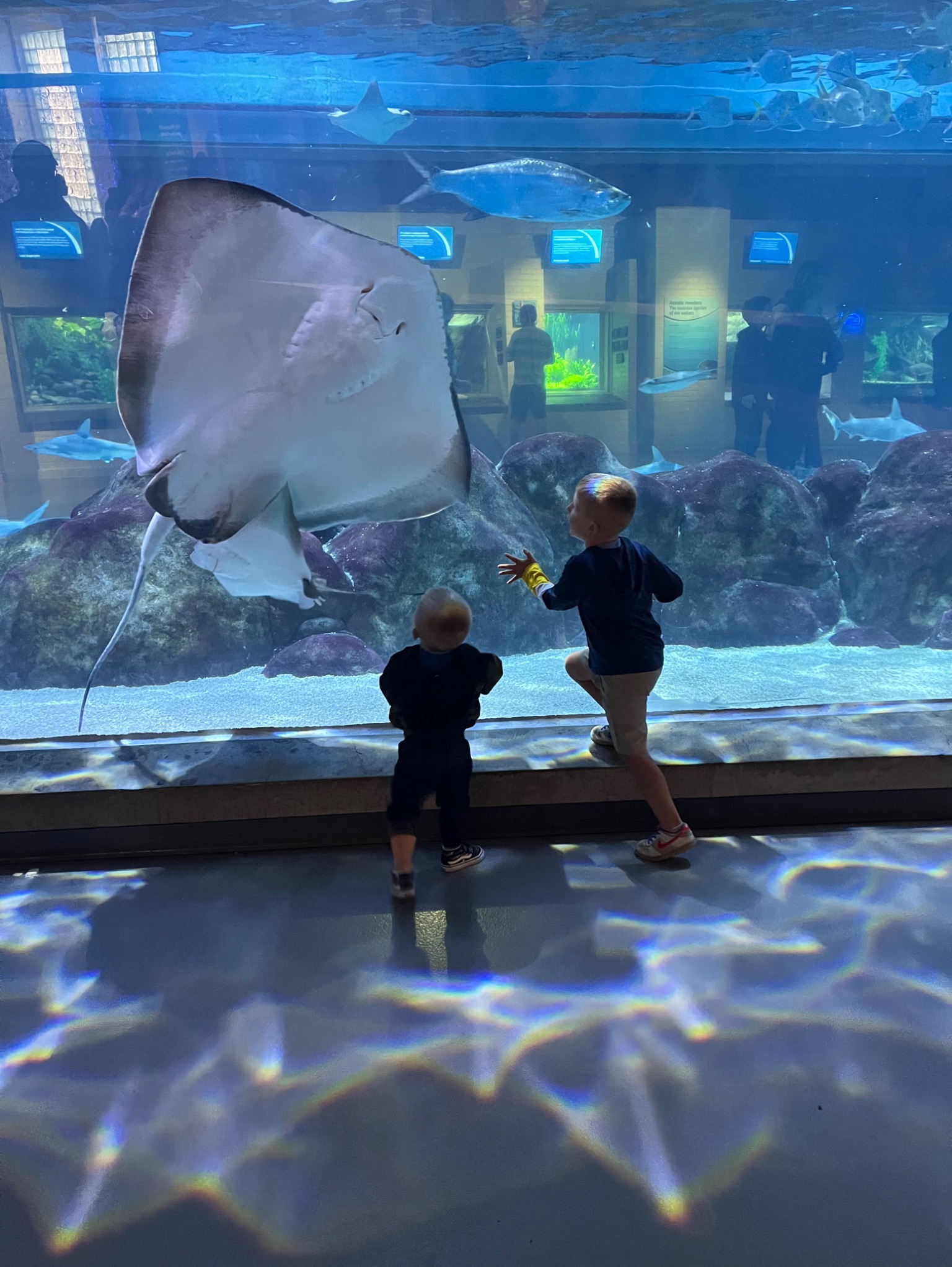 Community photo by Lori