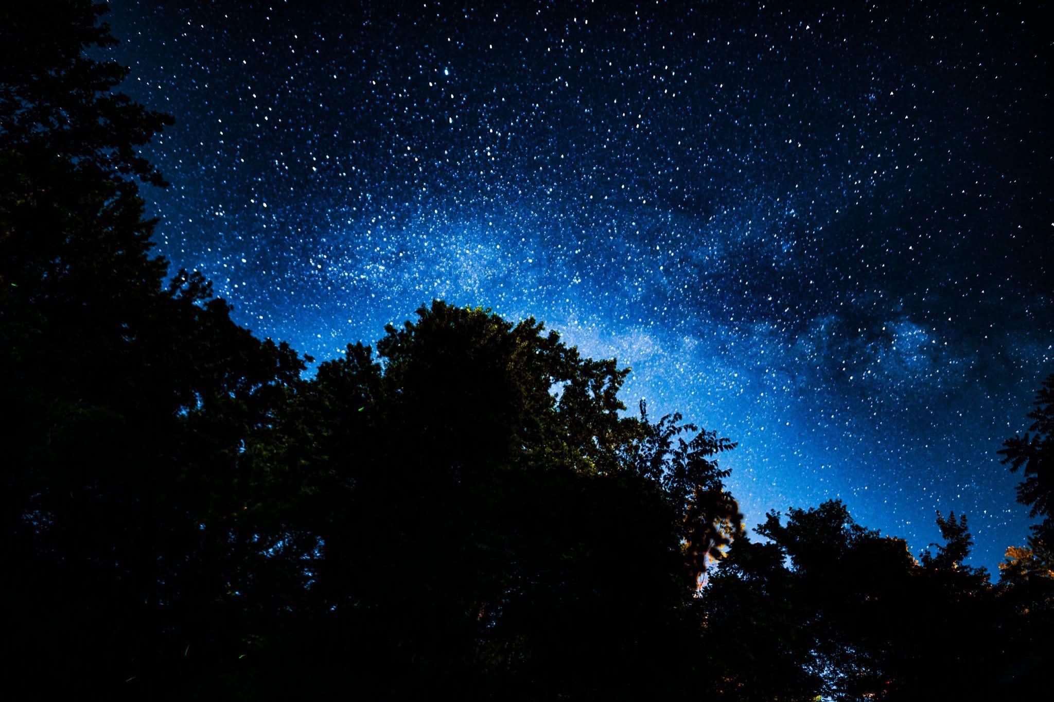 Community photo by Chuck Reinhart | Vincennes, Indiana