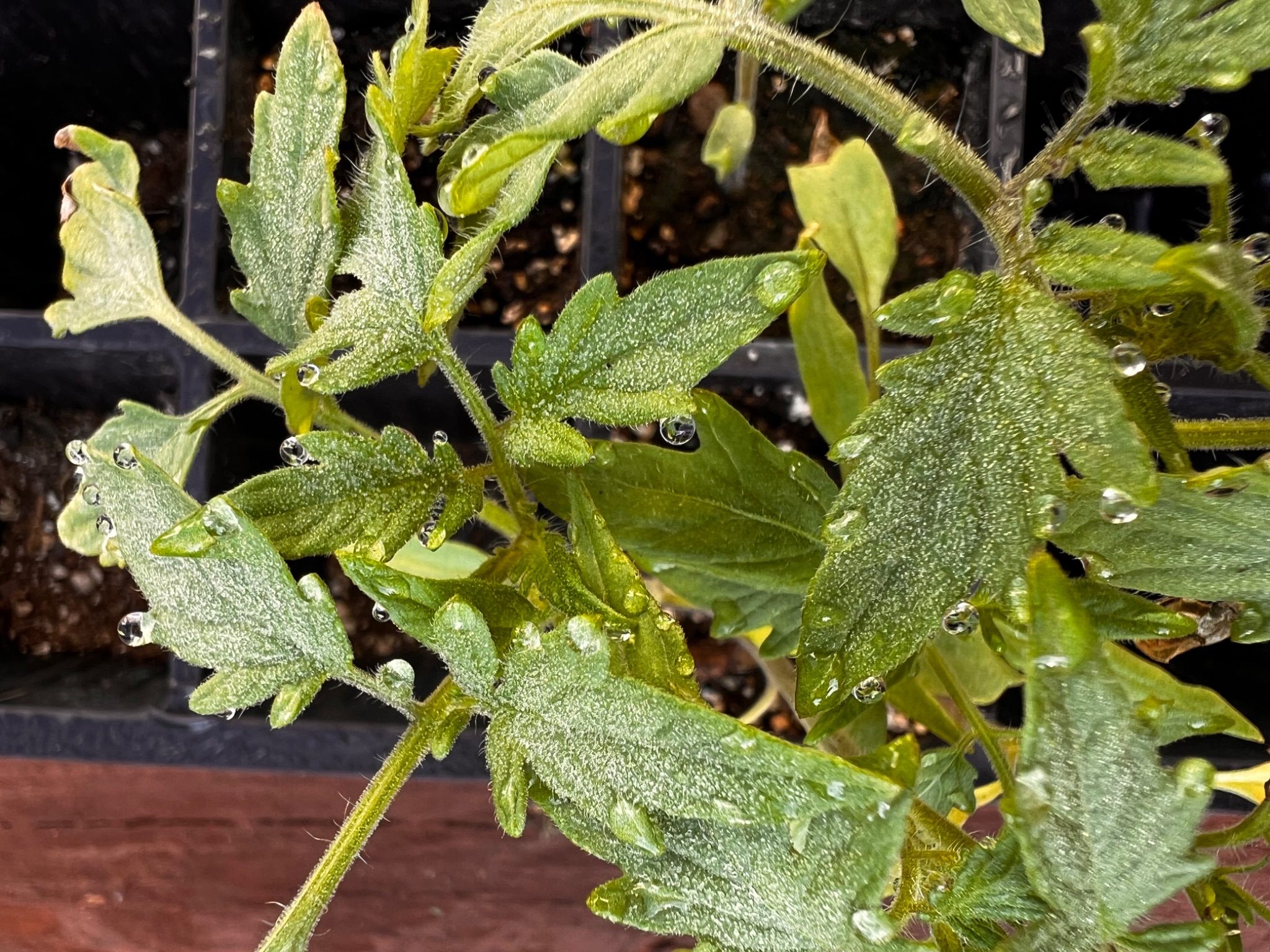 Community photo by Sudhir