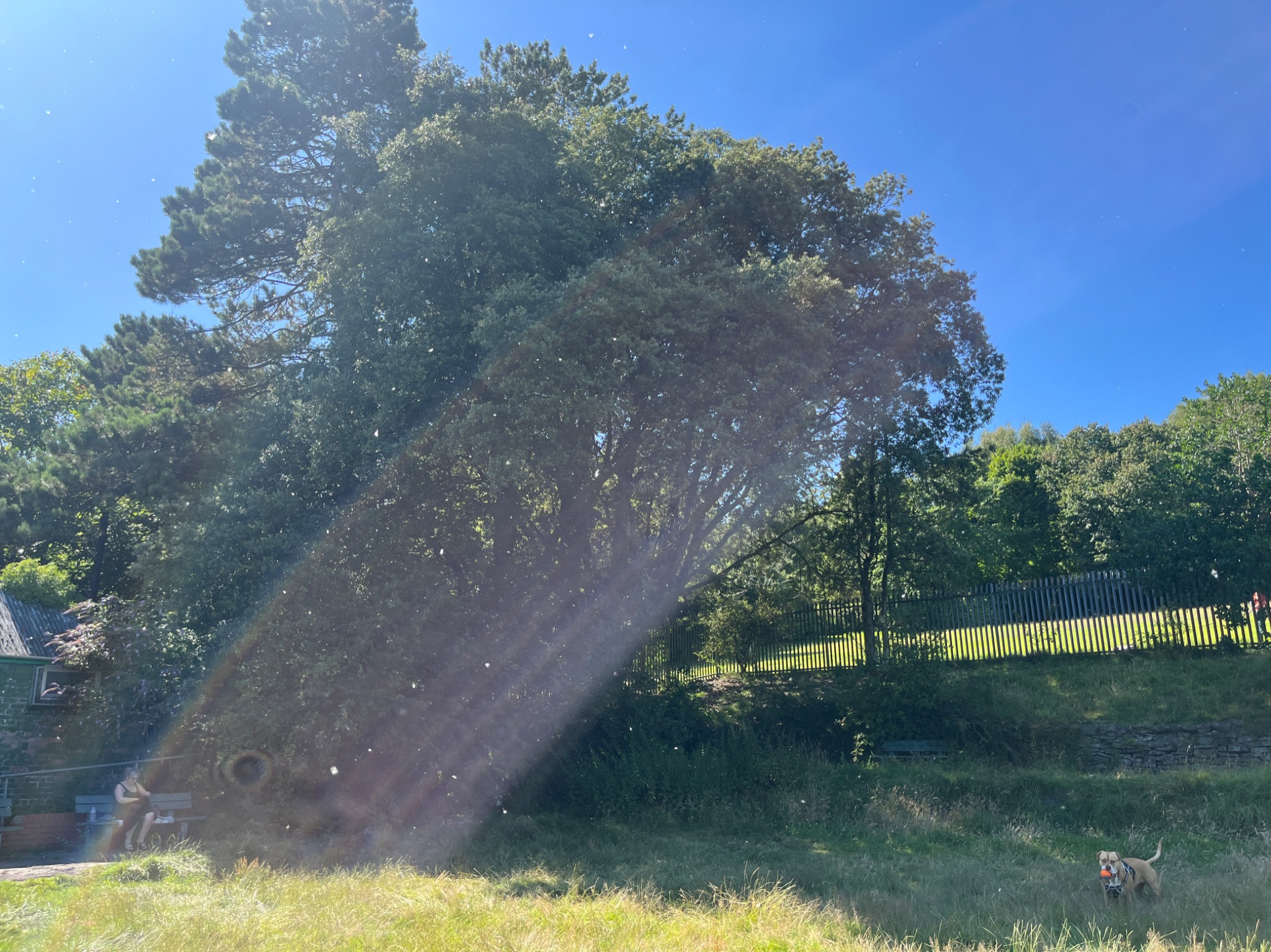 Community photo by Michael