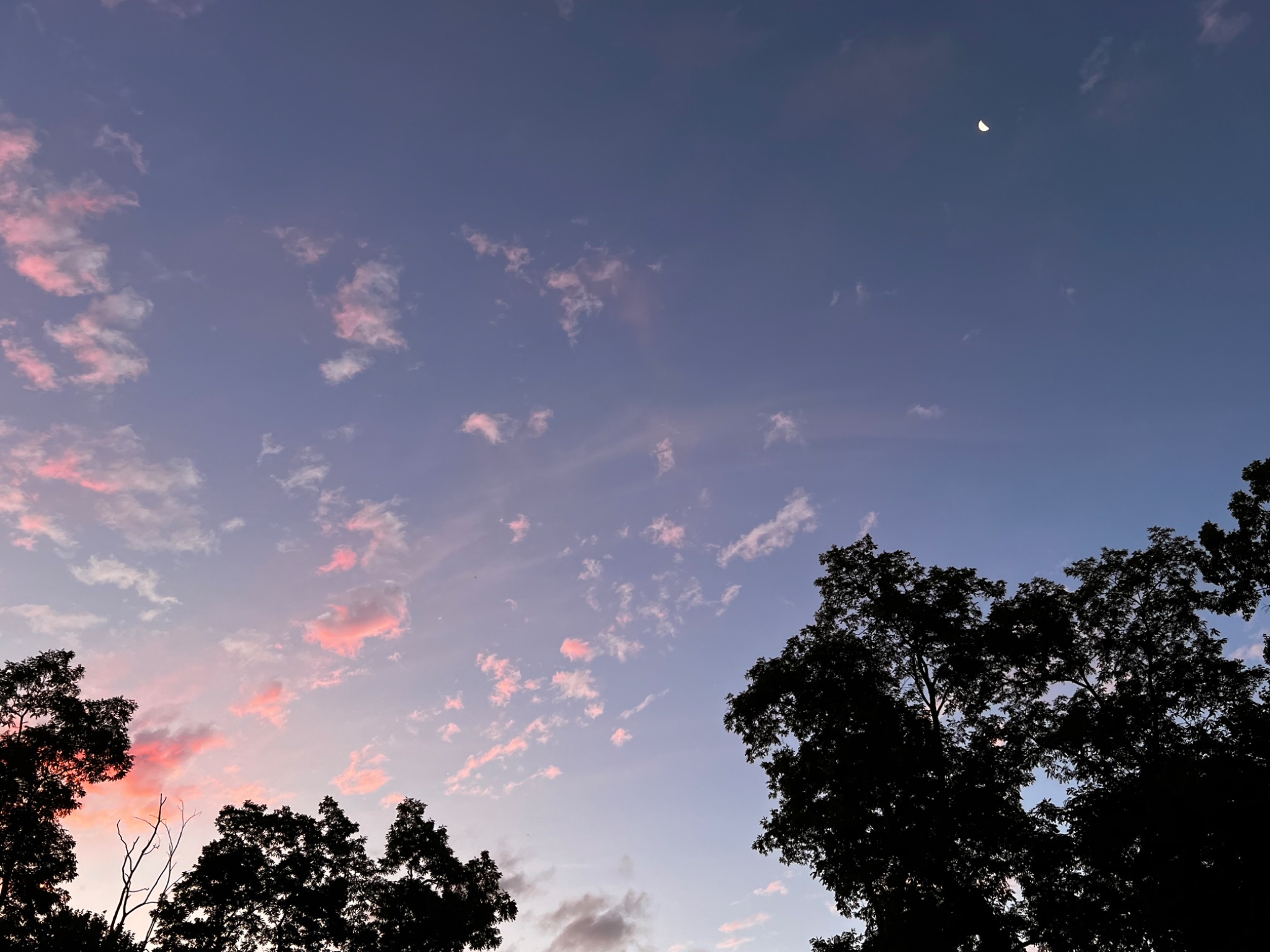 Community photo by Sudhir Sharma | Stormville, NY