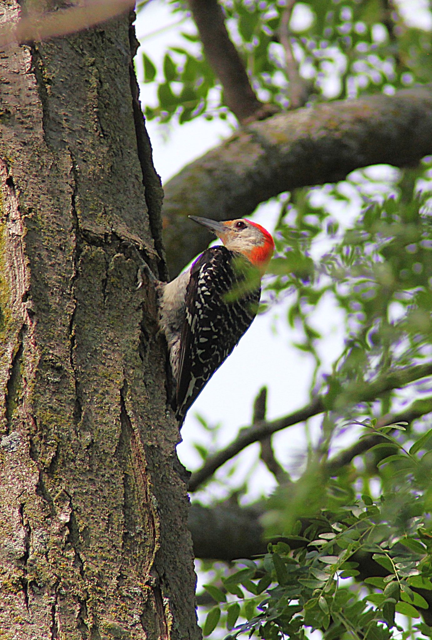 Community photo by Randy