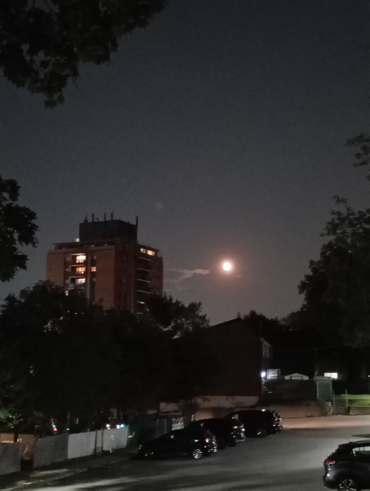 Community photo by Mohamed