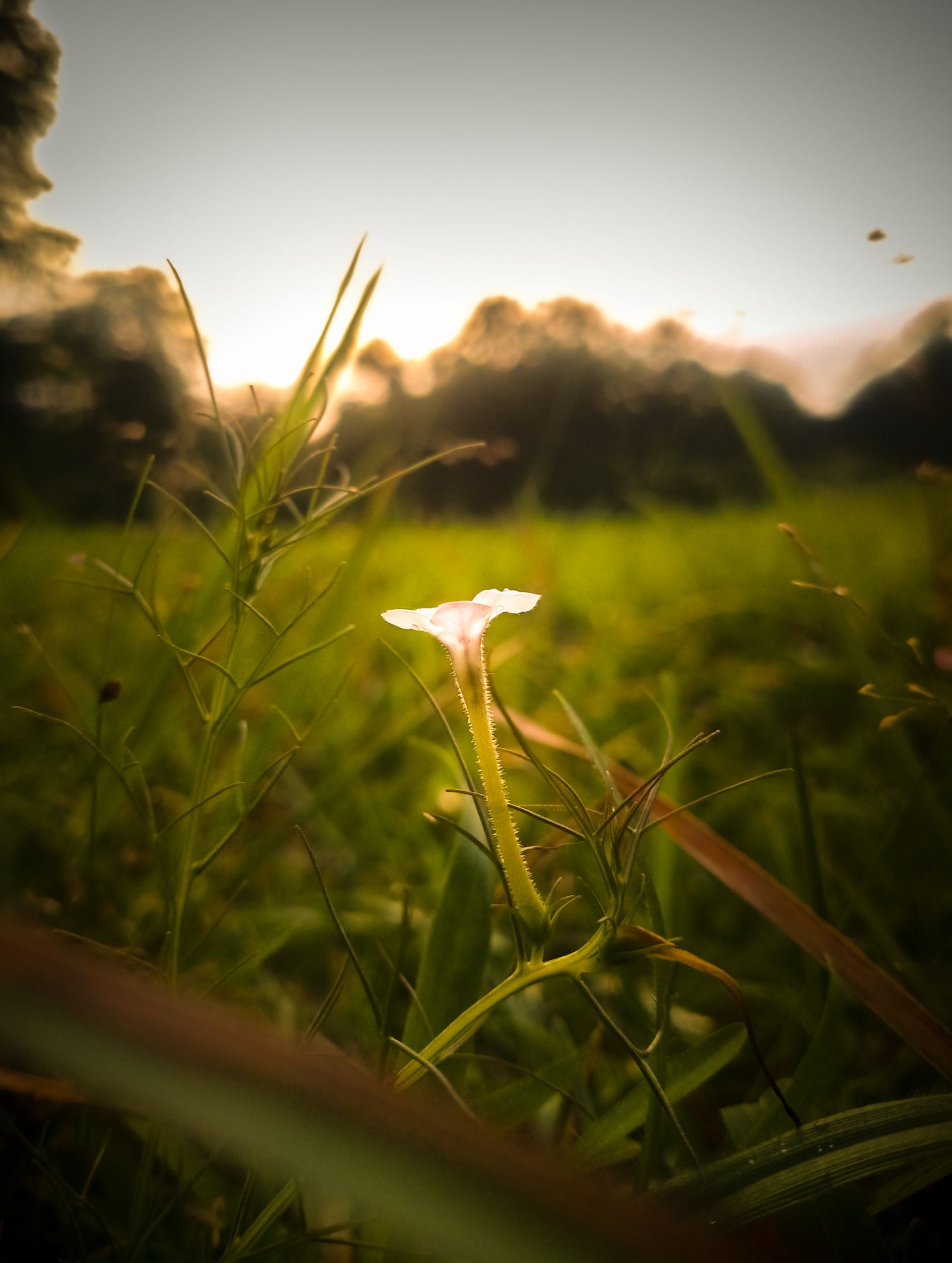 Community photo by Aayan