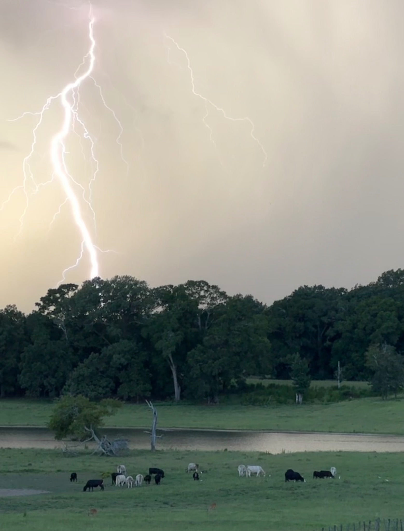 Community photo by Melody Sheffield | Lee County, Georgia, USA