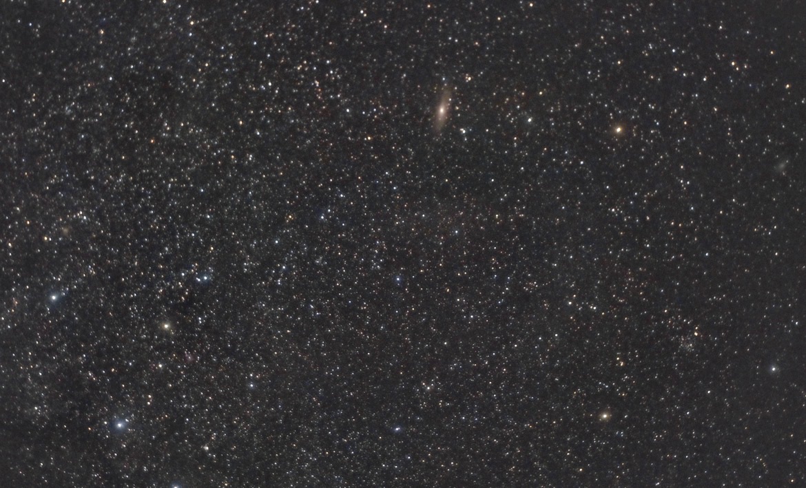 Community photo by Kameron McCloskey | Ocean pines Maryland USA