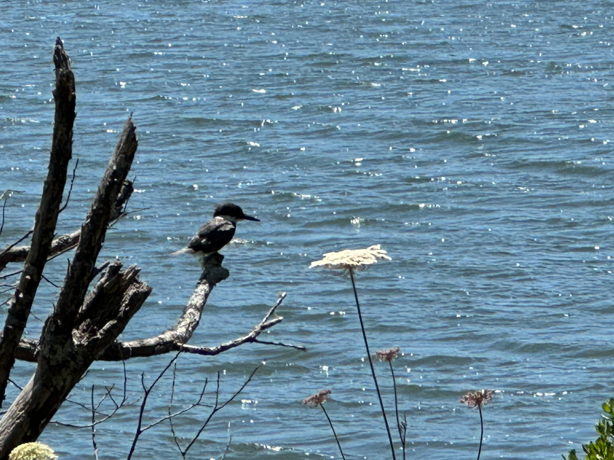 Community photo by Victoria Bryhan | Yaquina River estuary, Newport OR