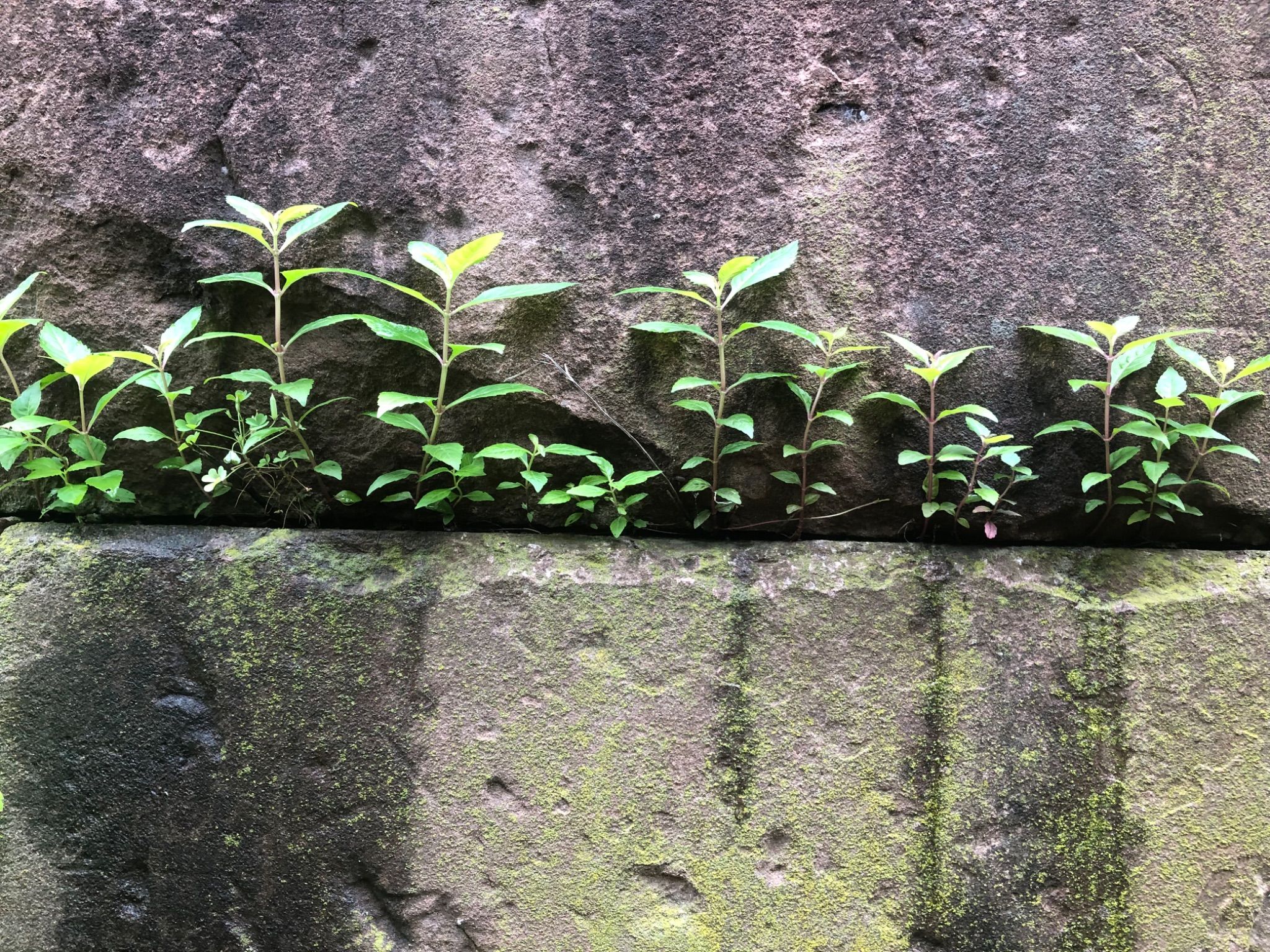 Community photo by Adam