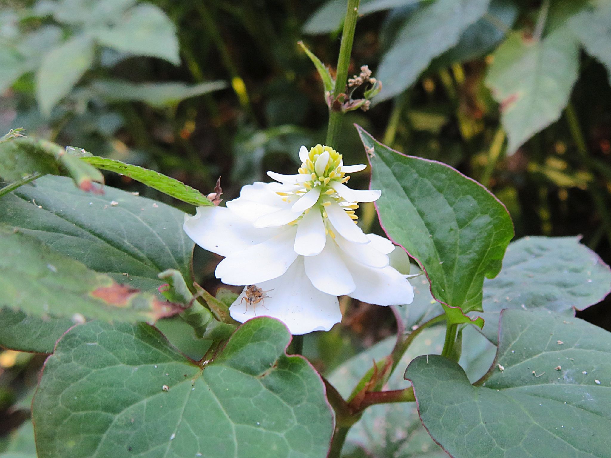 Community photo by Judith Gaffney | Birmingham UK