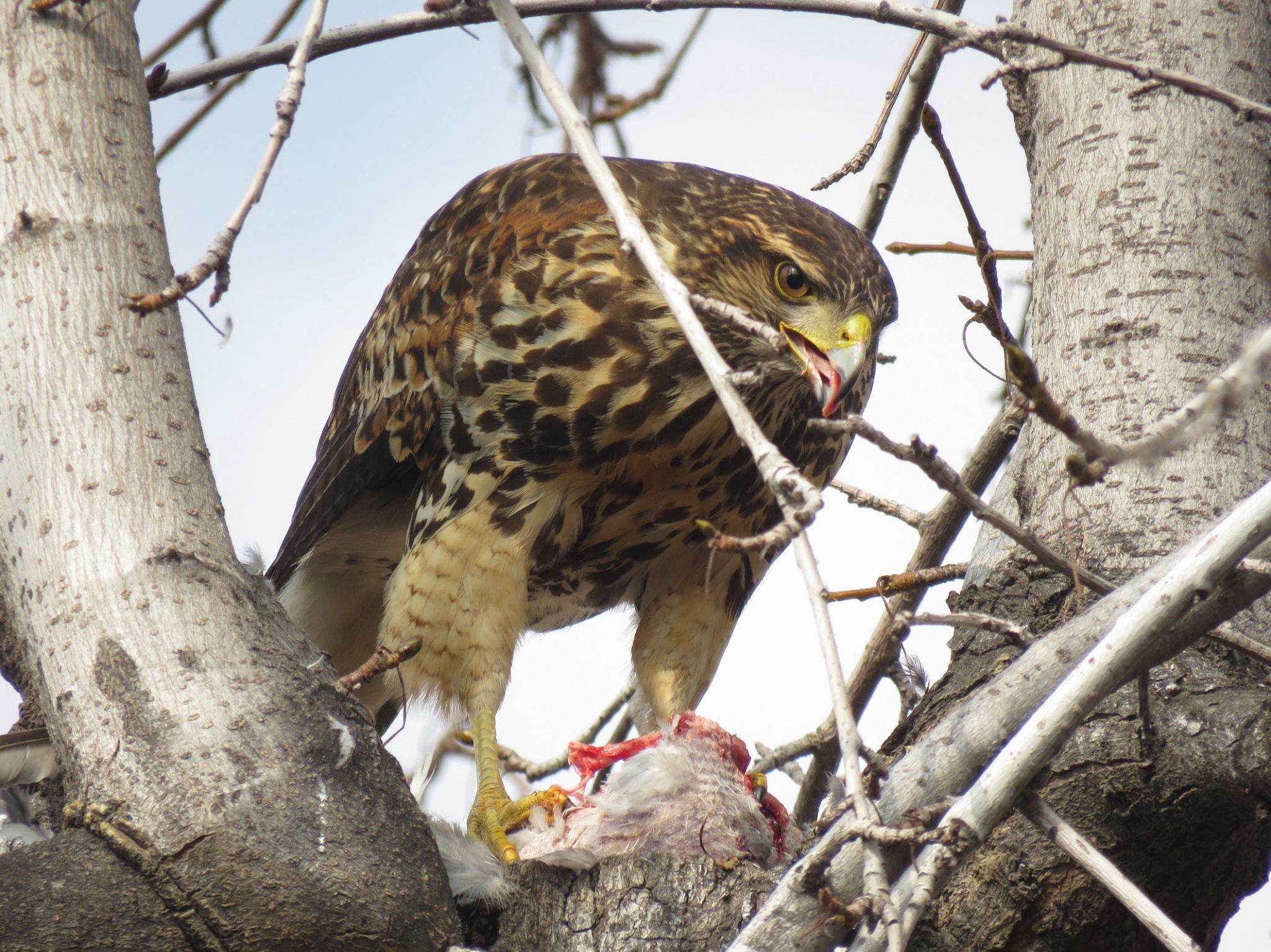 Community photo by Patricio