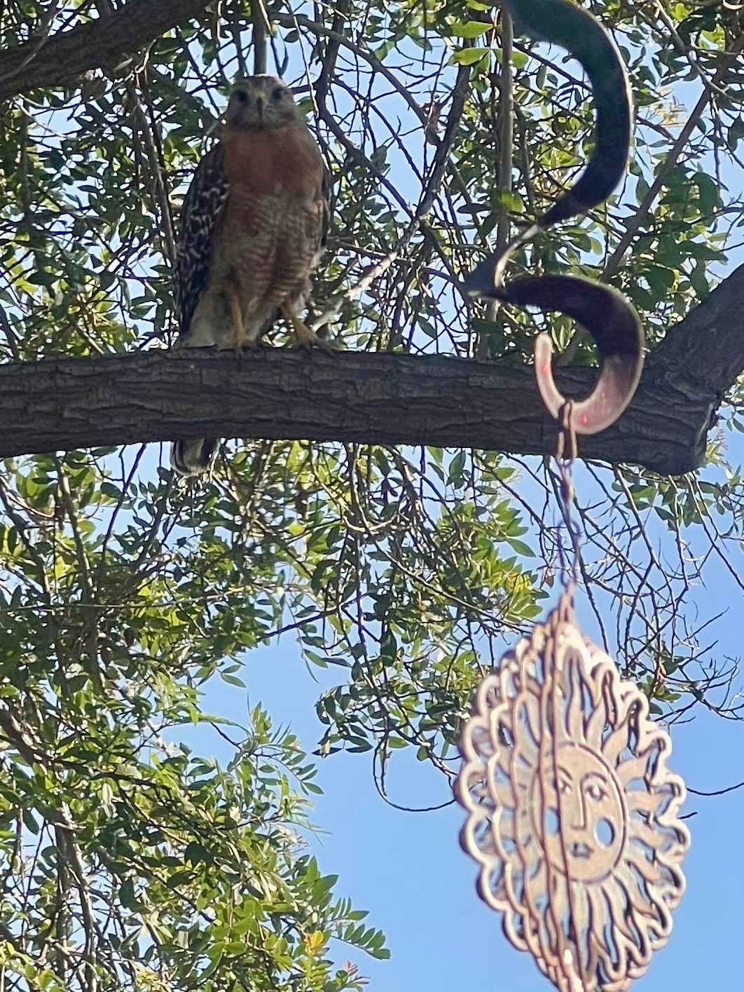 Community photo by Dolores Moreno | Highland, CA