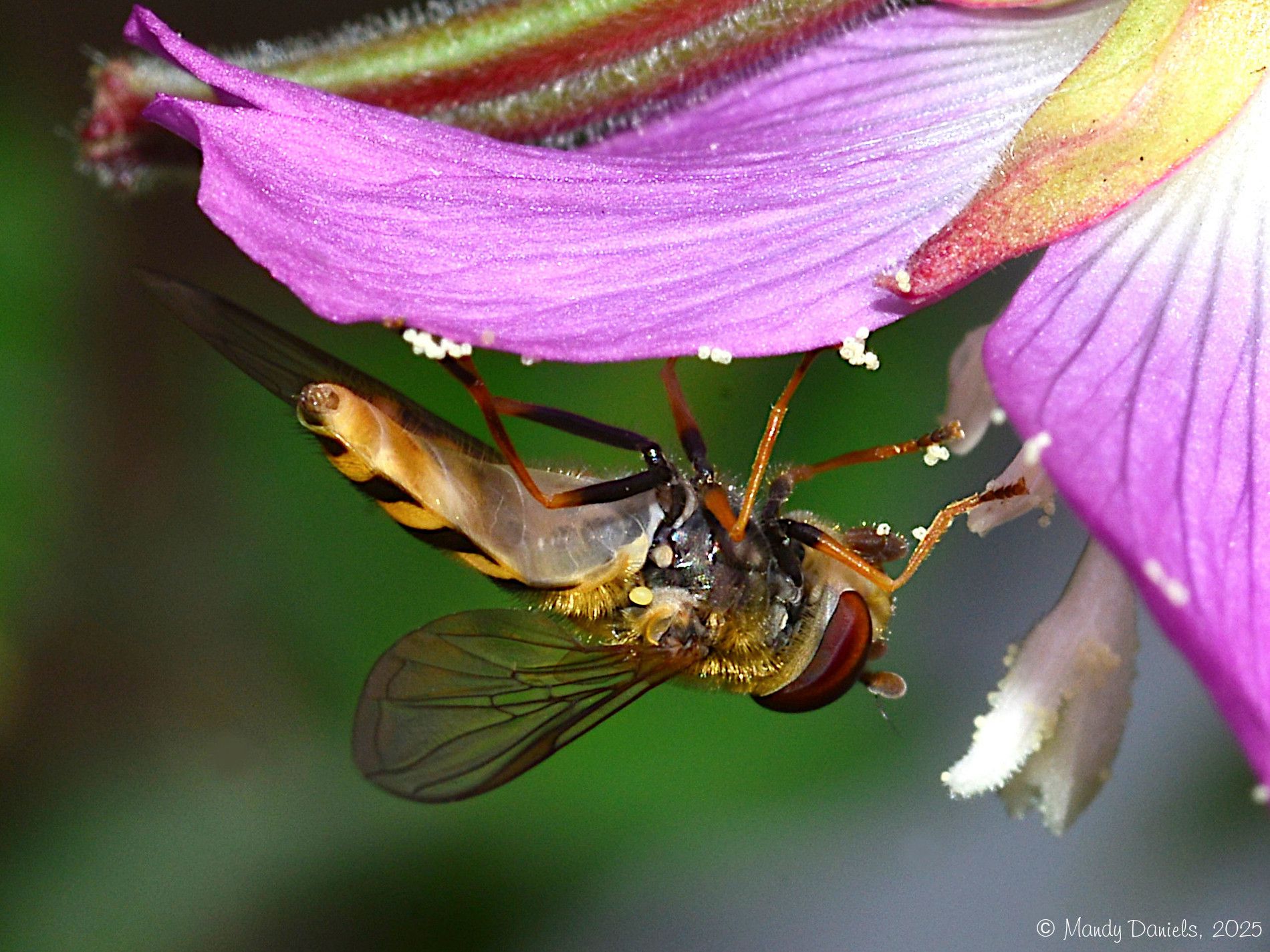 Community photo by Mandy