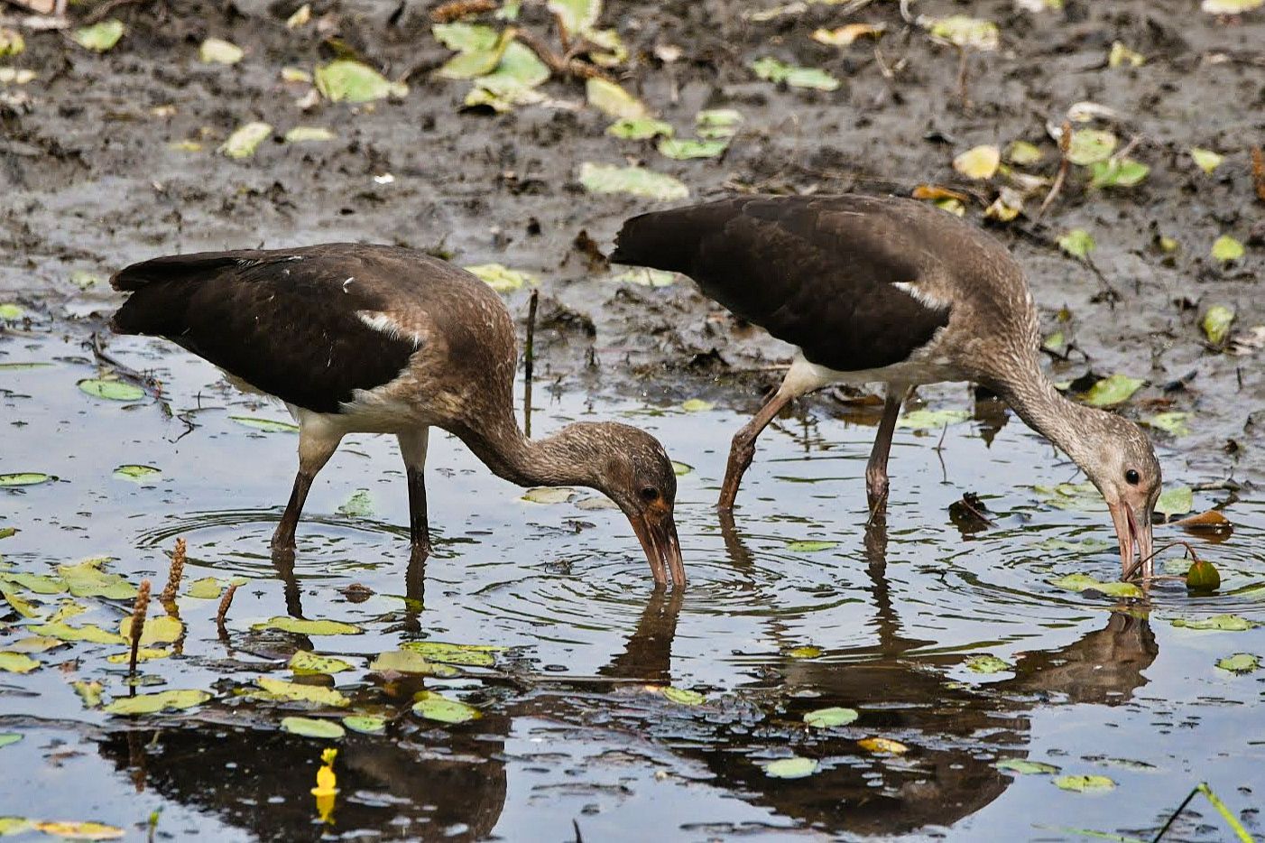 Community photo by Lorraine